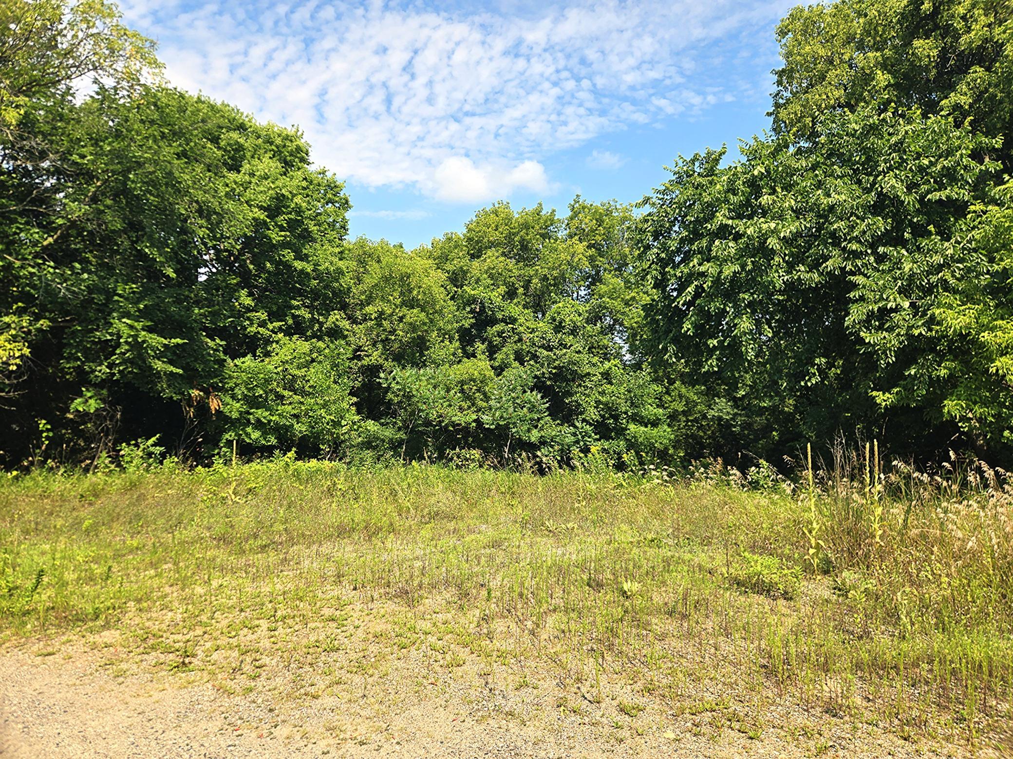 View of Land at 16XXX 107th Street, South Haven MN 55382, South Haven (3 of 13) - Mike Wilen | Minnesota Team Real Estate