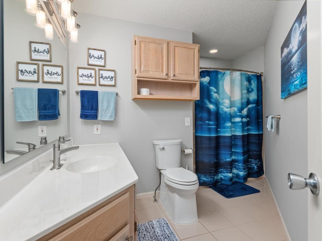 View of Residential at 733 Ashley Drive, Chaska MN 55318, Chaska (25 of 43) - Mike Wilen | Minnesota Team Real Estate