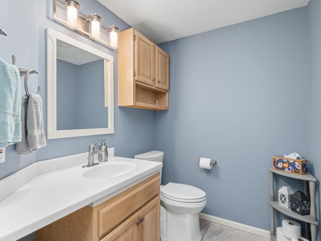 View of Residential at 733 Ashley Drive, Chaska MN 55318, Chaska (18 of 43) - Mike Wilen | Minnesota Team Real Estate