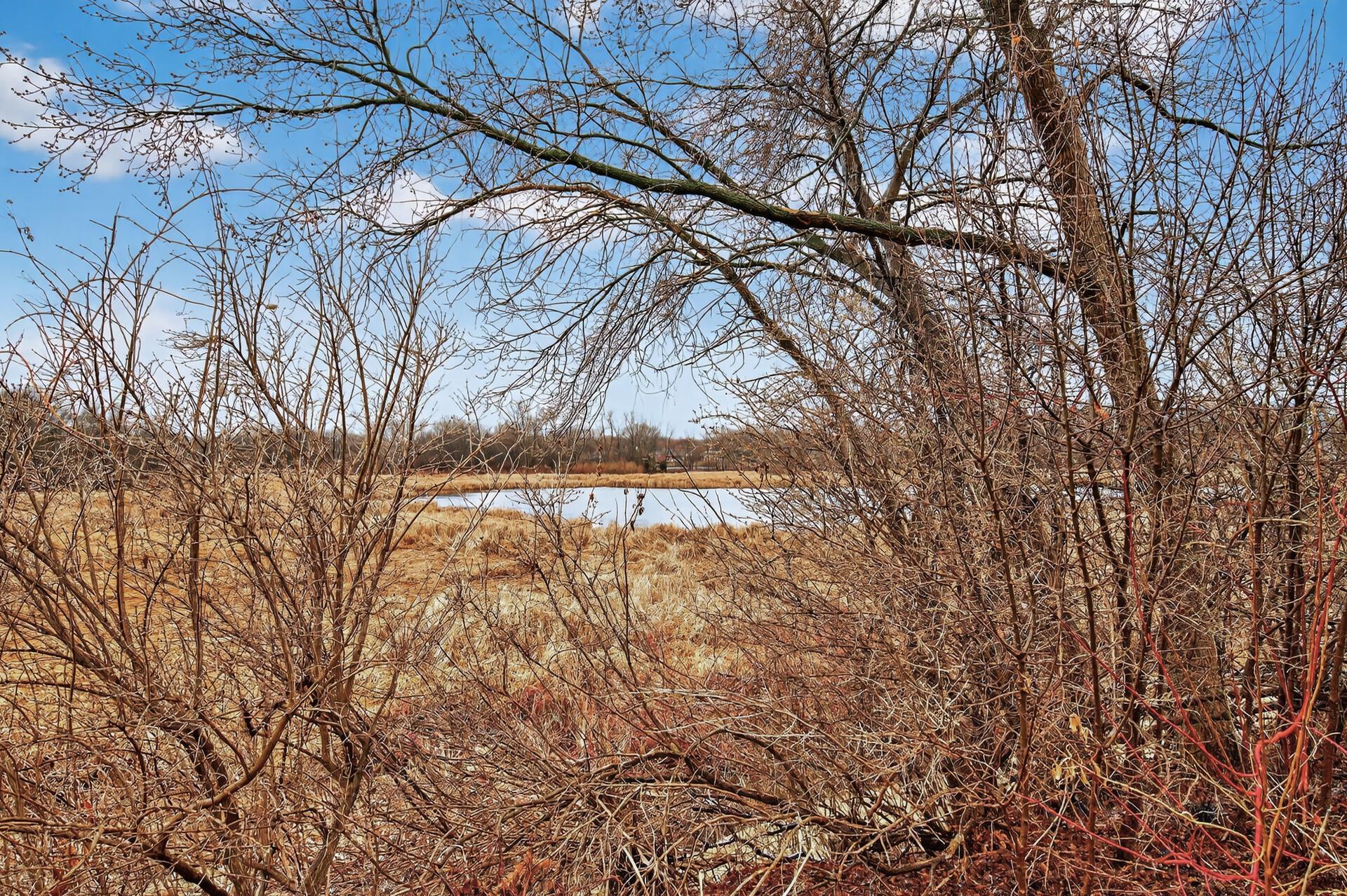 View of Residential at 11245 57th Avenue, Plymouth MN 55442, Plymouth (29 of 34) - Mike Wilen | Minnesota Team Real Estate