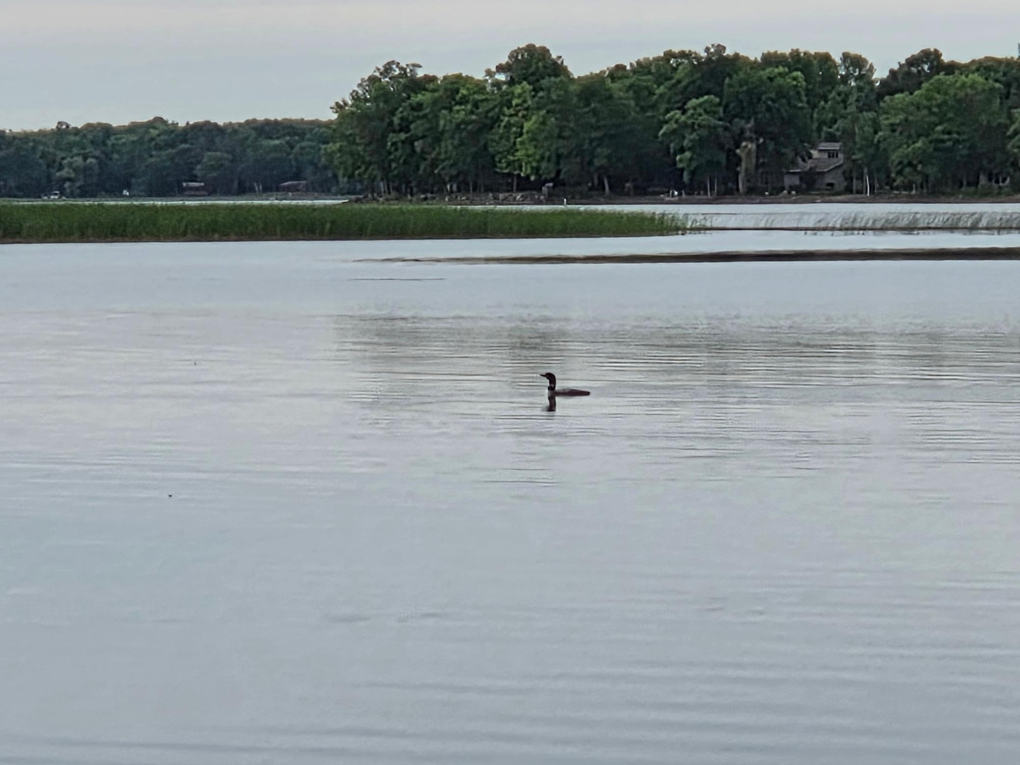 View of Residential at 850 Main Street, Isle MN 56342, Isle (9 of 66) - Mike Wilen | Minnesota Team Real Estate