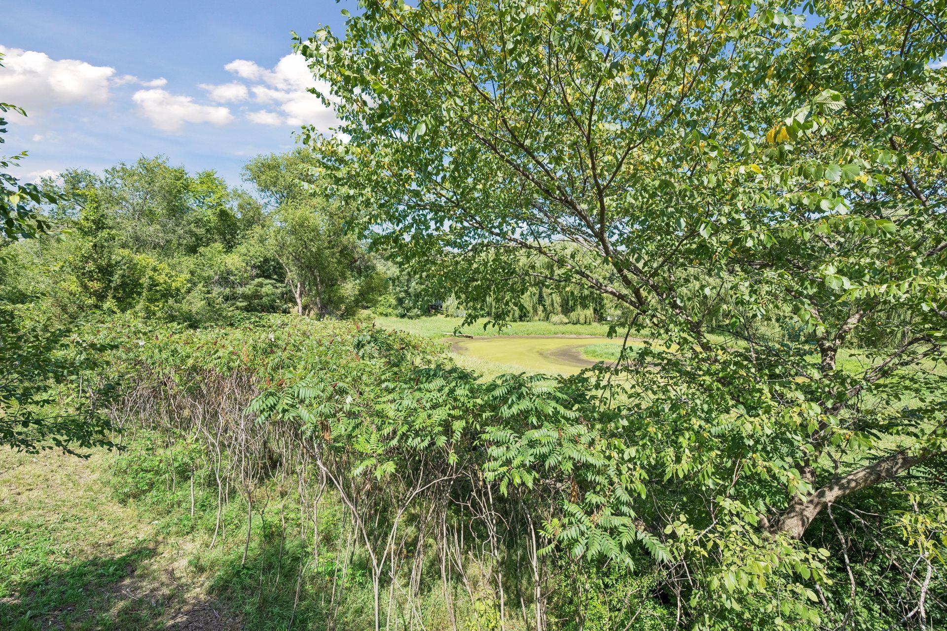 View of Residential at 8645 163rd Street, Clearwater MN 55320, Clearwater (40 of 60) - Mike Wilen | Minnesota Team Real Estate