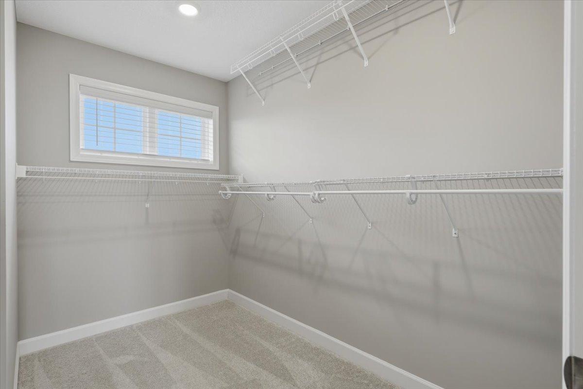 View of Residential at 6023 Inskip Avenue, Cottage Grove MN 55016, Cottage Grove (20 of 43) - Mike Wilen | Minnesota Team Real Estate