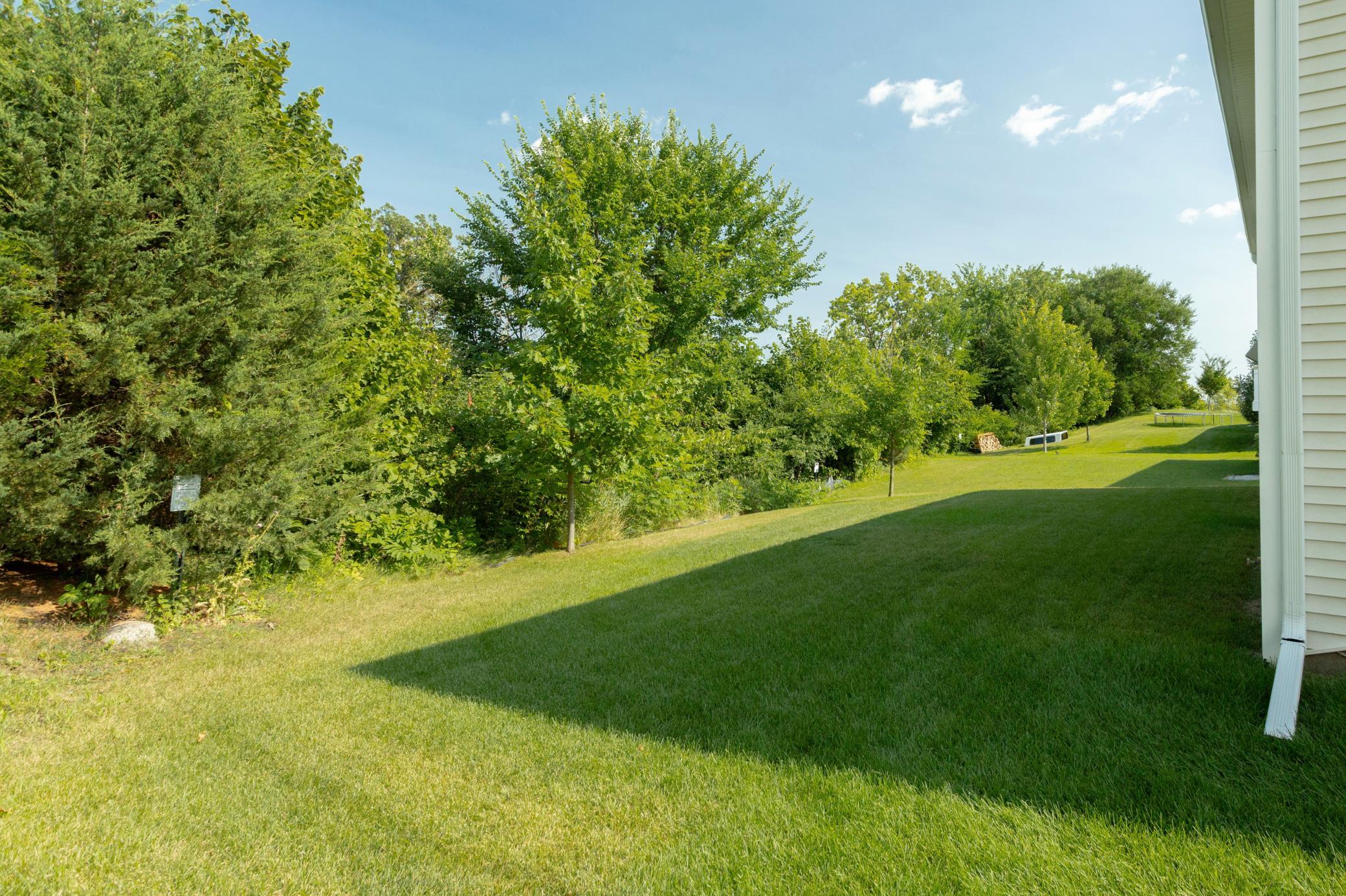 View of Residential at 1237 Maple Lane, Carver MN 55315, Carver (4 of 26) - Mike Wilen | Minnesota Team Real Estate