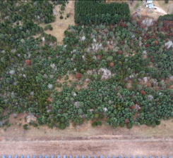 View of Land at Lot 2 Kable Avenue, North Branch MN 55056, North Branch (2 of 4) - Mike Wilen | Minnesota Team Real Estate