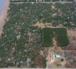 View of Land at Lot 2 Kable Avenue, North Branch MN 55056, North Branch (4 of 4) - Mike Wilen | Minnesota Team Real Estate