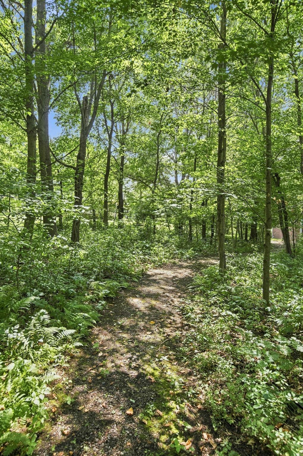 View of Residential at 16755 7th Street, Ham Lake MN 55304, Ham Lake (59 of 66) - Mike Wilen | Minnesota Team Real Estate