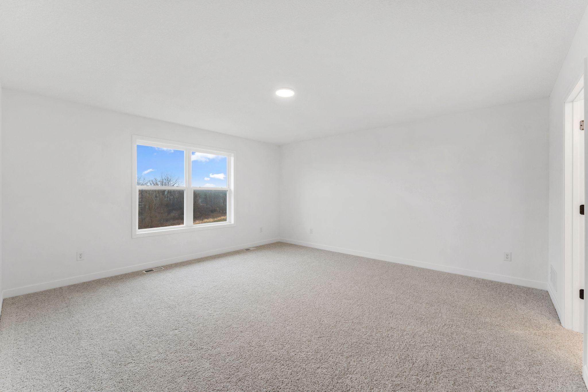 View of Residential at 1091 Adamstown Drive, Rosemount MN 55068, Rosemount (13 of 20) - Mike Wilen | Minnesota Team Real Estate