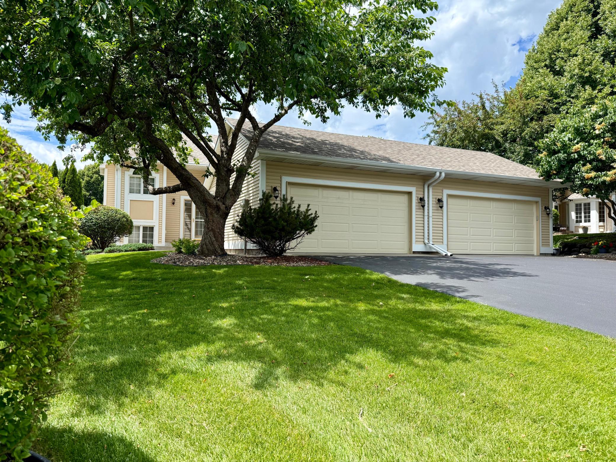 View of (TH) Side x Side at 808 Winterberry Drive, Woodbury - Mike Wilen | Minnesota Team Real Estate