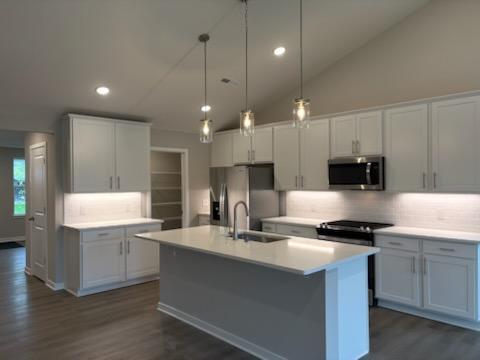 View of Residential at 8849 63rd Street, Cottage Grove MN 55016, Cottage Grove (20 of 60) - Mike Wilen | Minnesota Team Real Estate