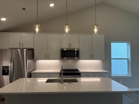 View of Residential at 8849 63rd Street, Cottage Grove MN 55016, Cottage Grove (17 of 60) - Mike Wilen | Minnesota Team Real Estate