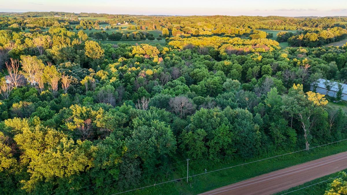 View of Land at TBD Baseline Avenue, New Prague MN 56071, New Prague (6 of 8) - Mike Wilen | Minnesota Team Real Estate