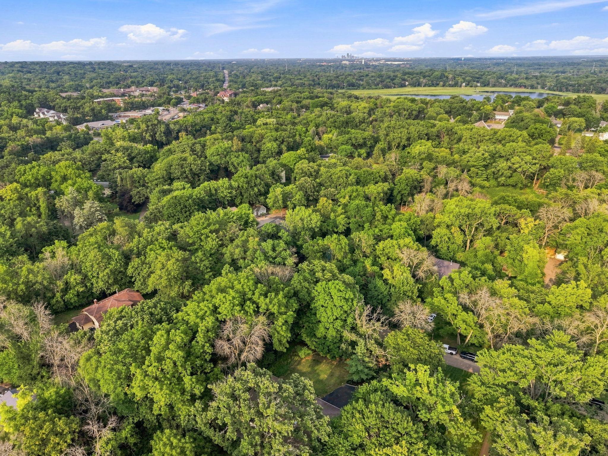 View of Residential at 5708 Glen Avenue, Minnetonka MN 55345, Minnetonka (48 of 59) - Mike Wilen | Minnesota Team Real Estate