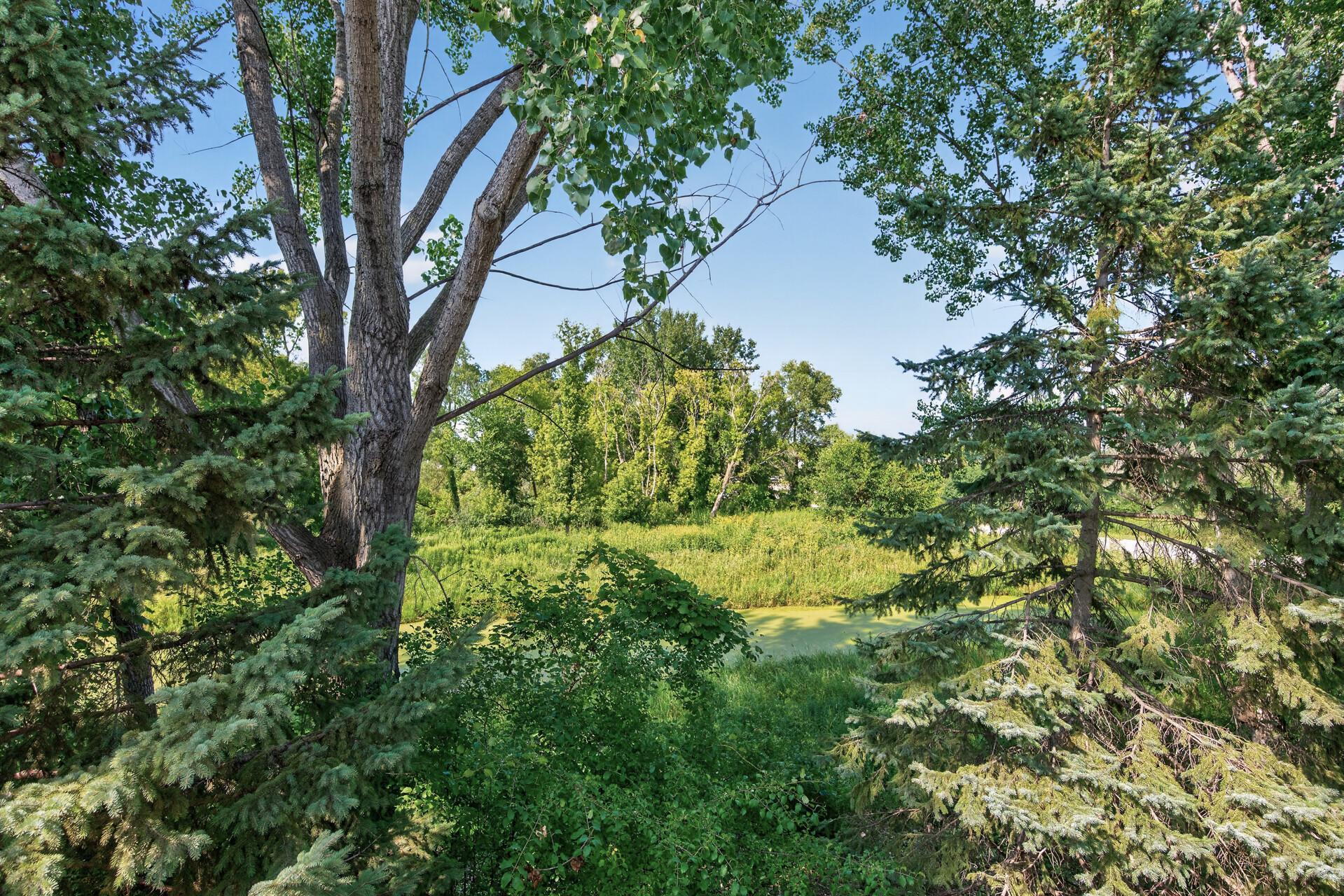 View of Residential at 8808 Preserve Trail, Savage MN 55378, Savage (47 of 51) - Mike Wilen | Minnesota Team Real Estate