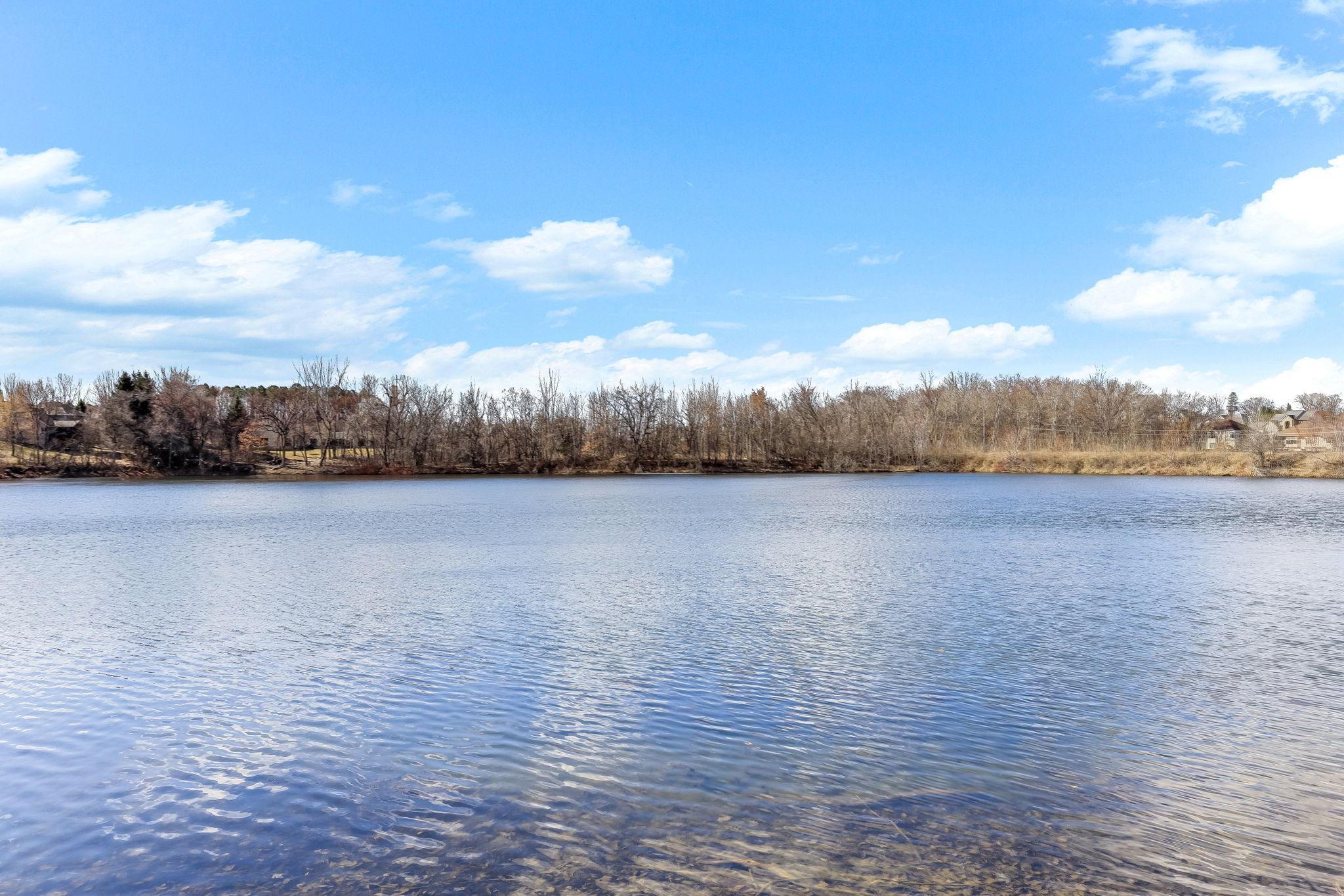 View of Residential at 4525 Alicia Drive, Eagan MN 55077, Eagan (74 of 79) - Mike Wilen | Minnesota Team Real Estate