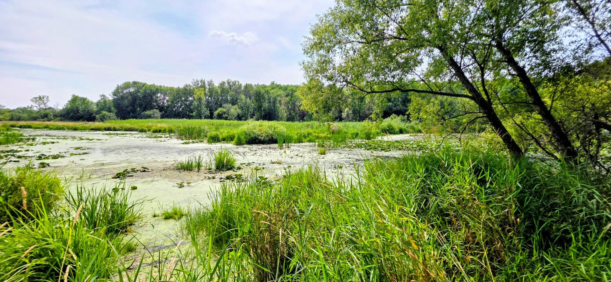 View of Residential at 49146 Amble Avenue, Stanchfield MN 55080, Stanchfield (29 of 30) - Mike Wilen | Minnesota Team Real Estate