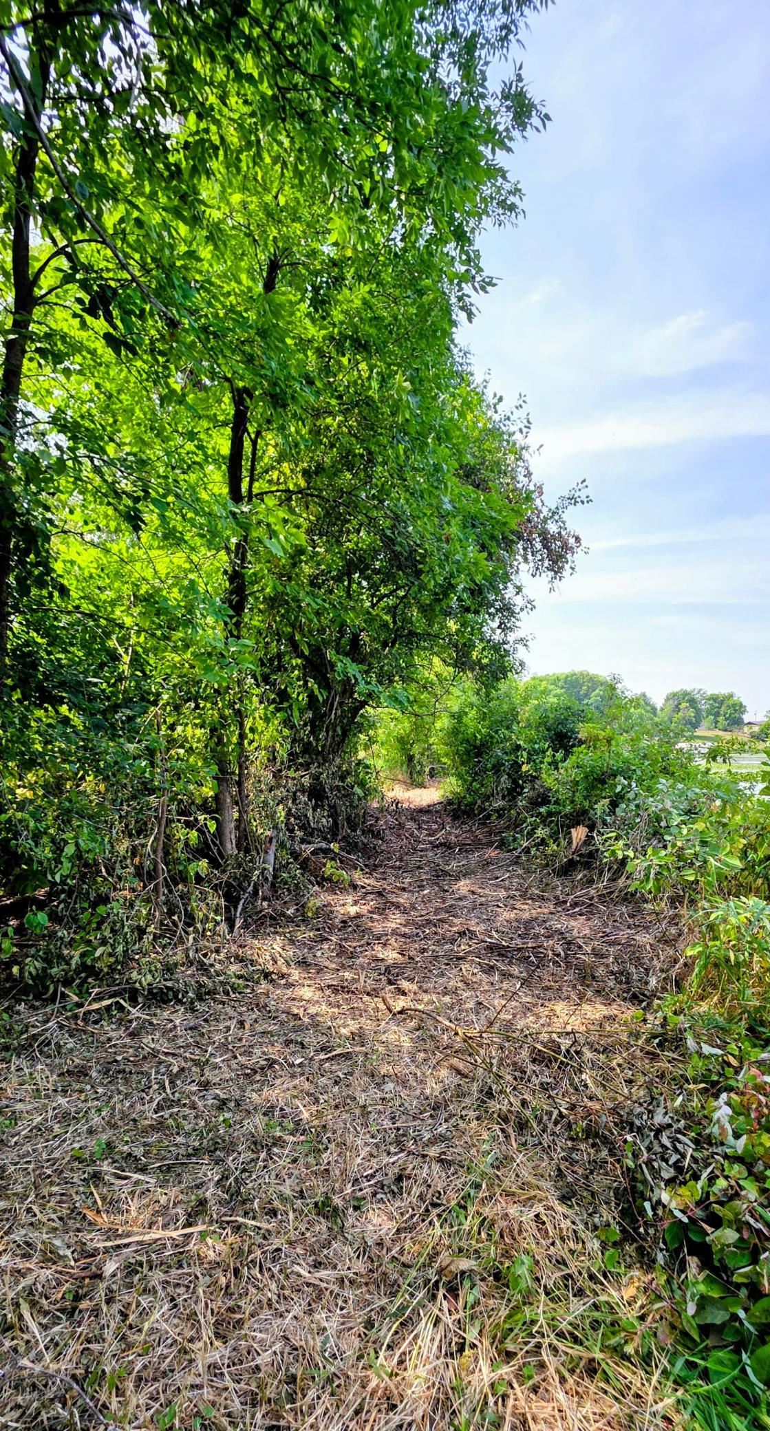 View of Residential at 49146 Amble Avenue, Stanchfield MN 55080, Stanchfield (28 of 30) - Mike Wilen | Minnesota Team Real Estate