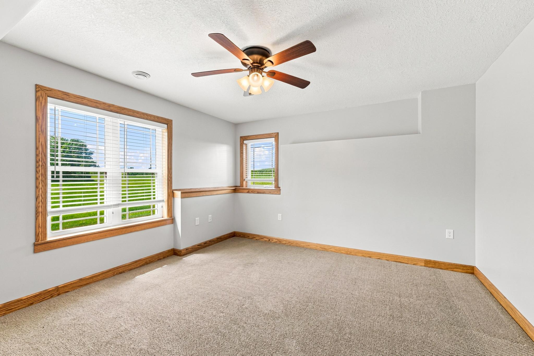 View of Residential at 24127 391st Lane, Arlington MN 55307, Arlington (26 of 47) - Mike Wilen | Minnesota Team Real Estate