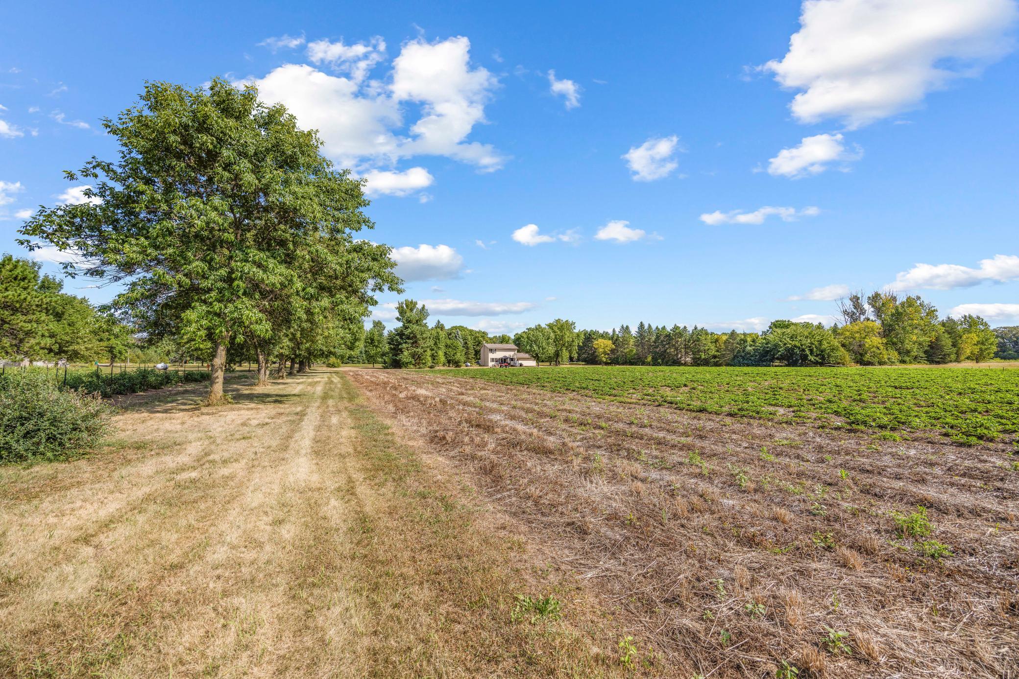 View of Residential at 409 127th Street, Monticello MN 55362, Monticello (40 of 55) - Mike Wilen | Minnesota Team Real Estate
