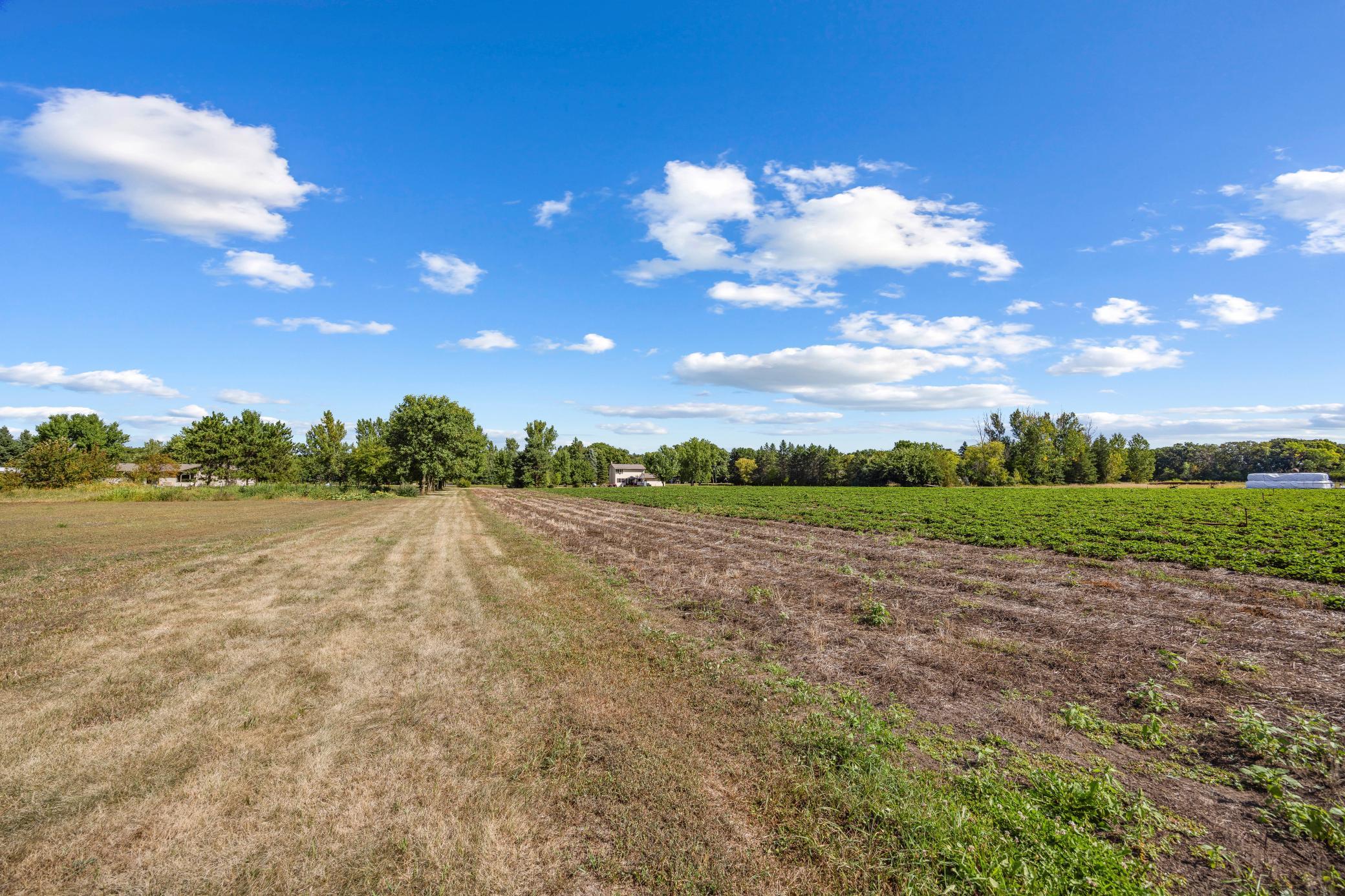View of Residential at 409 127th Street, Monticello MN 55362, Monticello (39 of 55) - Mike Wilen | Minnesota Team Real Estate