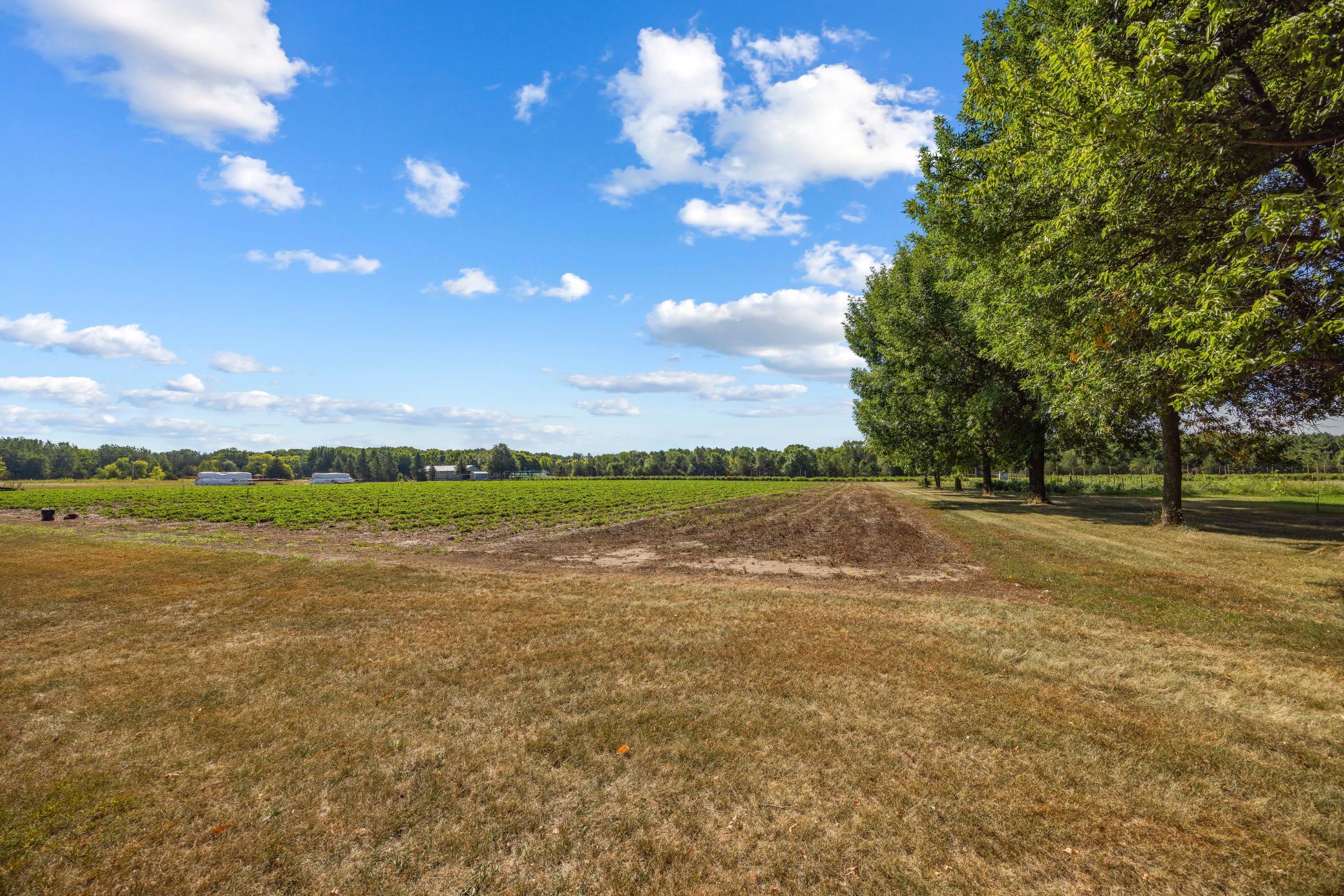 View of Residential at 409 127th Street, Monticello MN 55362, Monticello (33 of 55) - Mike Wilen | Minnesota Team Real Estate
