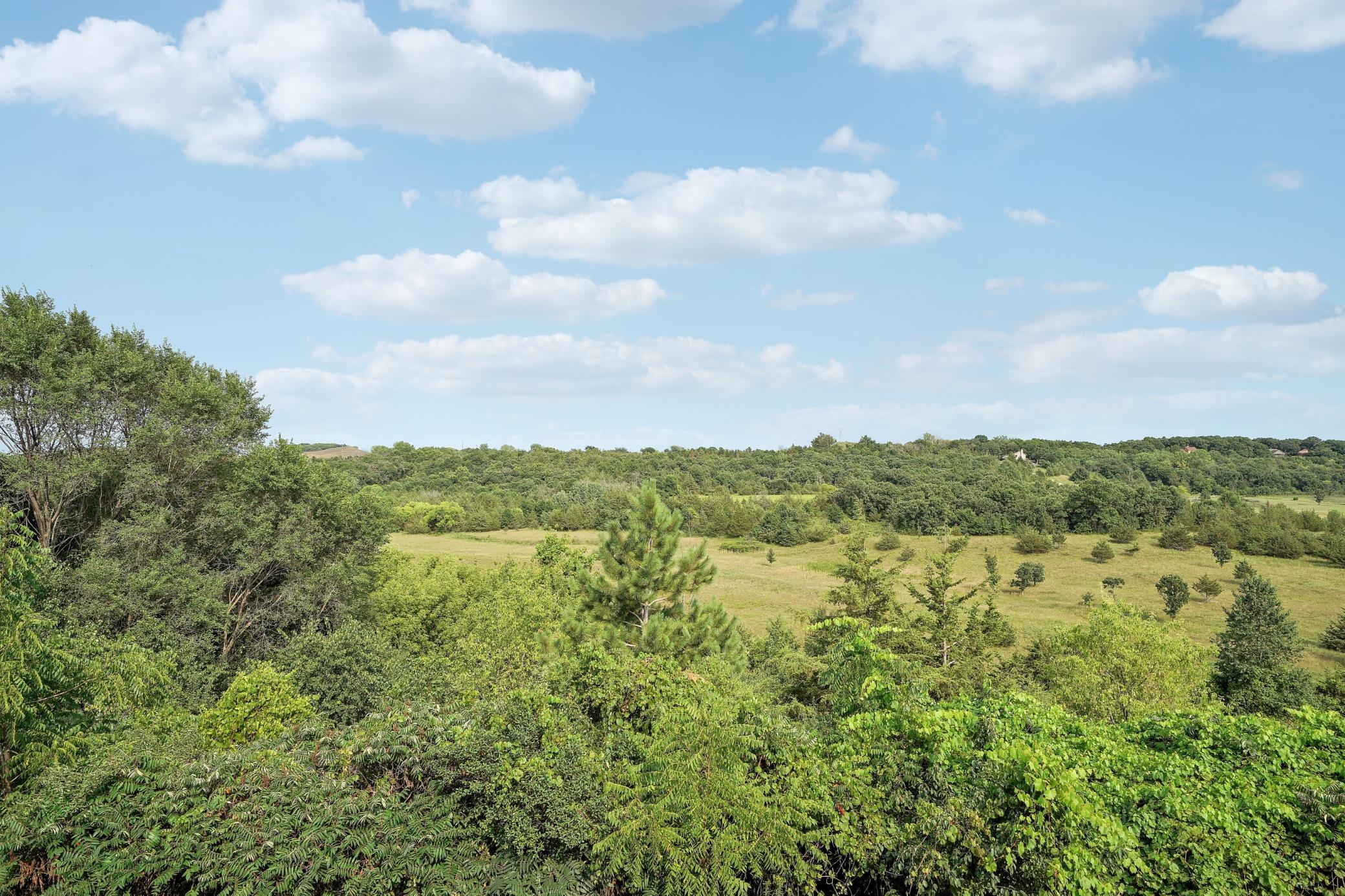 View of Residential at 553 Tuttle Drive, Hastings MN 55033, Hastings (46 of 67) - Mike Wilen | Minnesota Team Real Estate