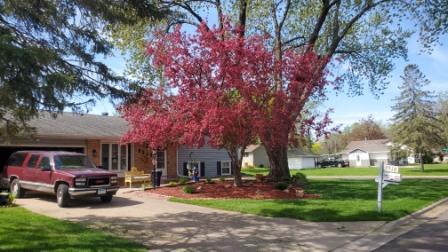 View of Residential at 8515 85th Street, Cottage Grove MN 55016, Cottage Grove - Mike Wilen | Minnesota Team Real Estate