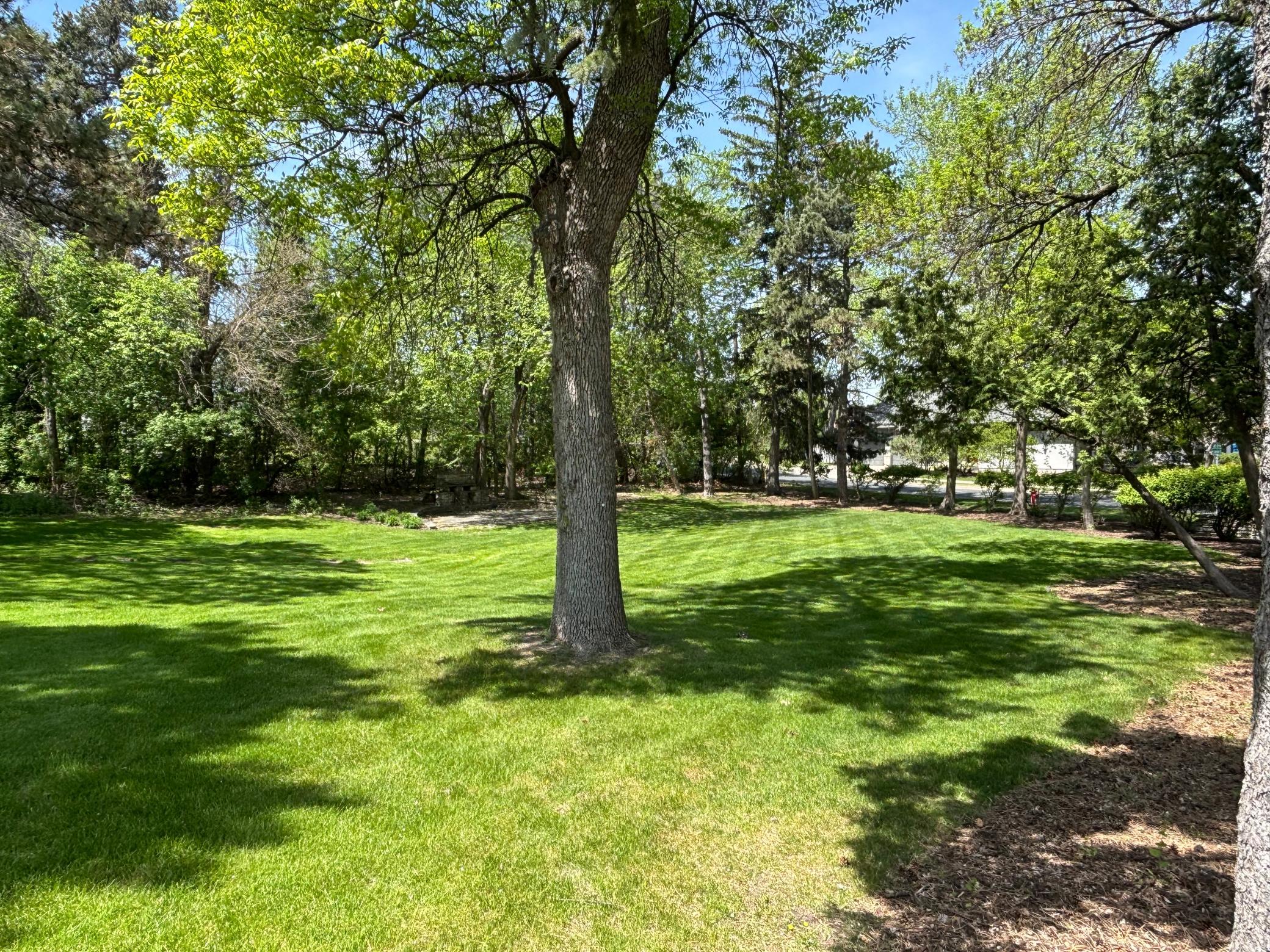 View of Residential at 4900 Lakeview Drive, Edina MN 55424, Edina (8 of 12) - Mike Wilen | Minnesota Team Real Estate