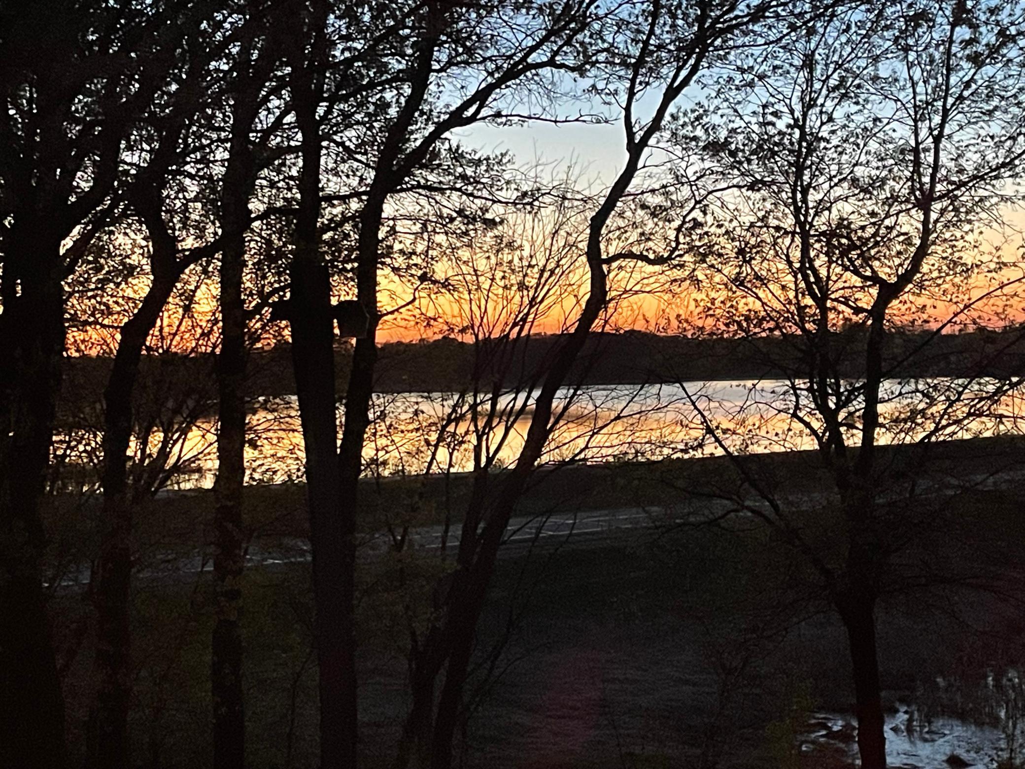 View of Residential at 12314 283rd Avenue, Princeton MN 55371, Princeton (50 of 56) - Mike Wilen | Minnesota Team Real Estate