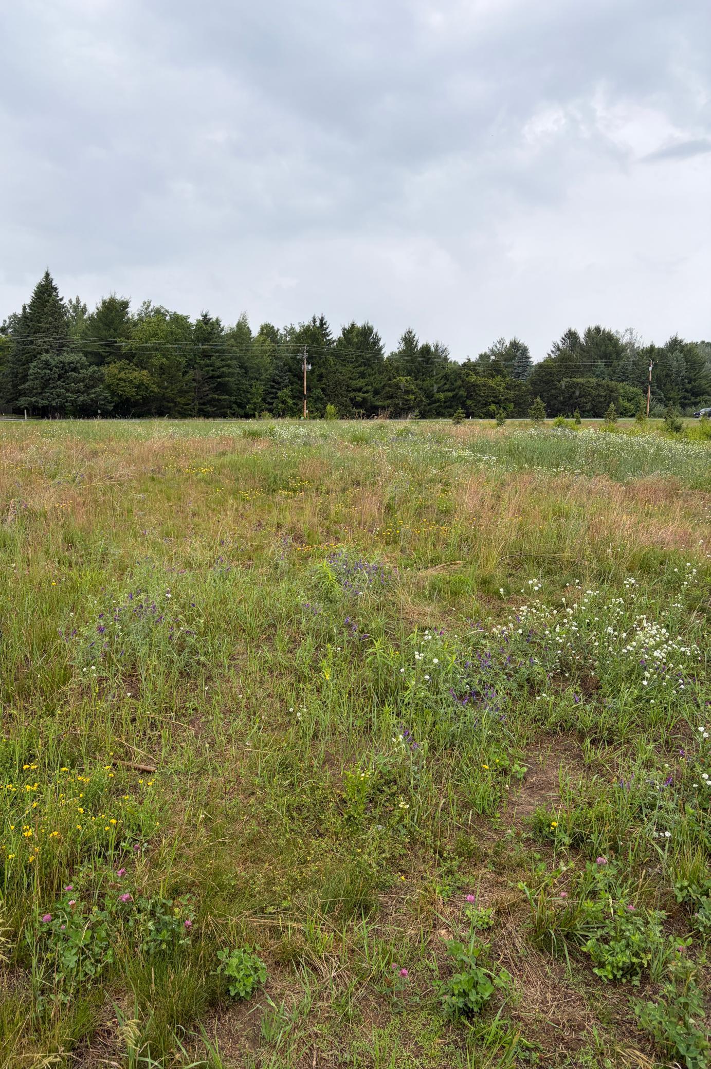 View of Land at 825 174th Avenue, Ham Lake MN 55304, Ham Lake - Mike Wilen | Minnesota Team Real Estate