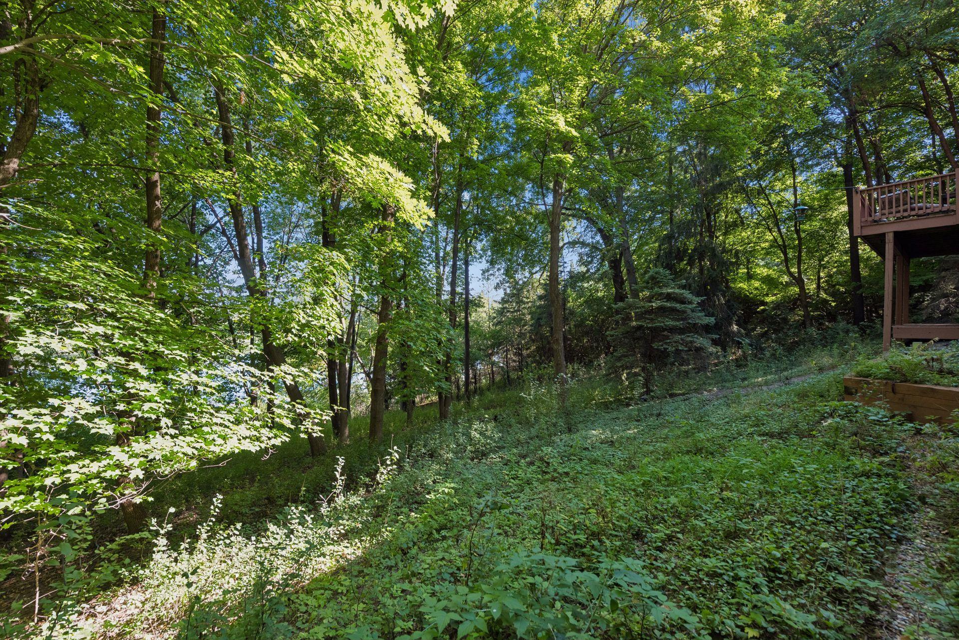 View of Residential at 5845 Ridge Road, Shorewood MN 55331, Shorewood (54 of 69) - Mike Wilen | Minnesota Team Real Estate