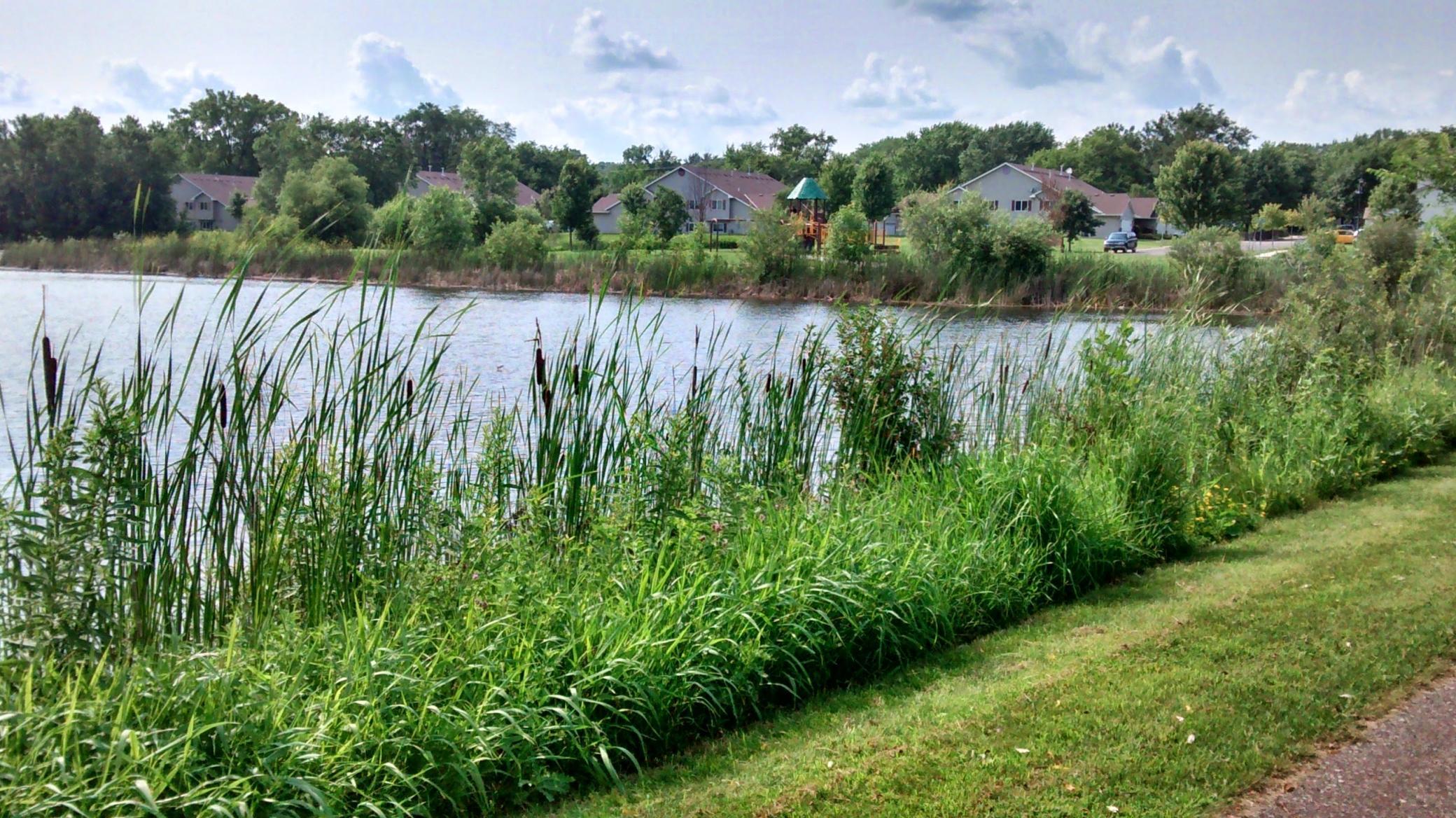 View of Residential at 1012 Heldt Street, Chaska MN 55318, Chaska (24 of 25) - Mike Wilen | Minnesota Team Real Estate