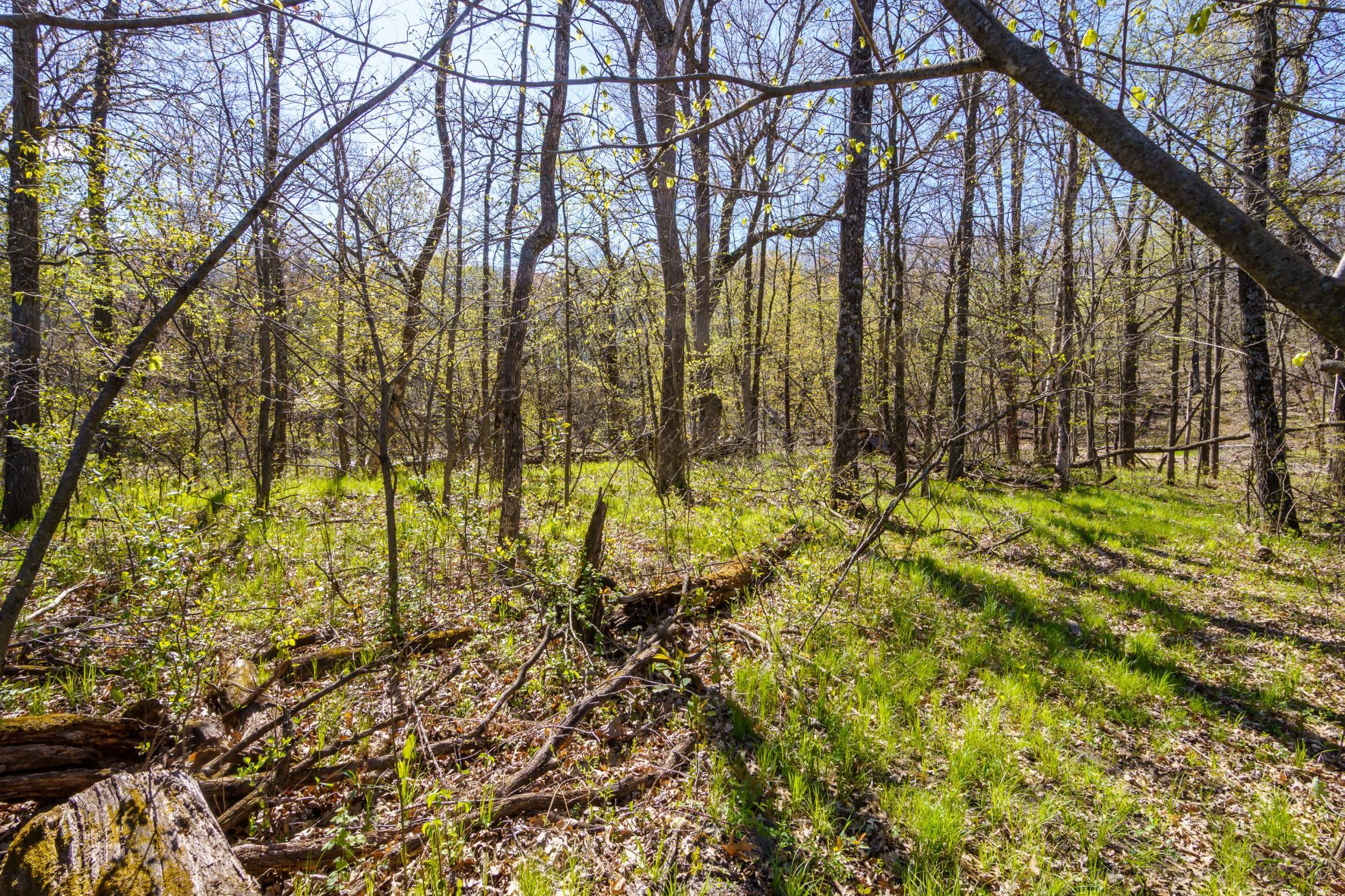 View of Land at Block A XXX, Oak Grove MN 55070, Oak Grove (4 of 5) - Mike Wilen | Minnesota Team Real Estate