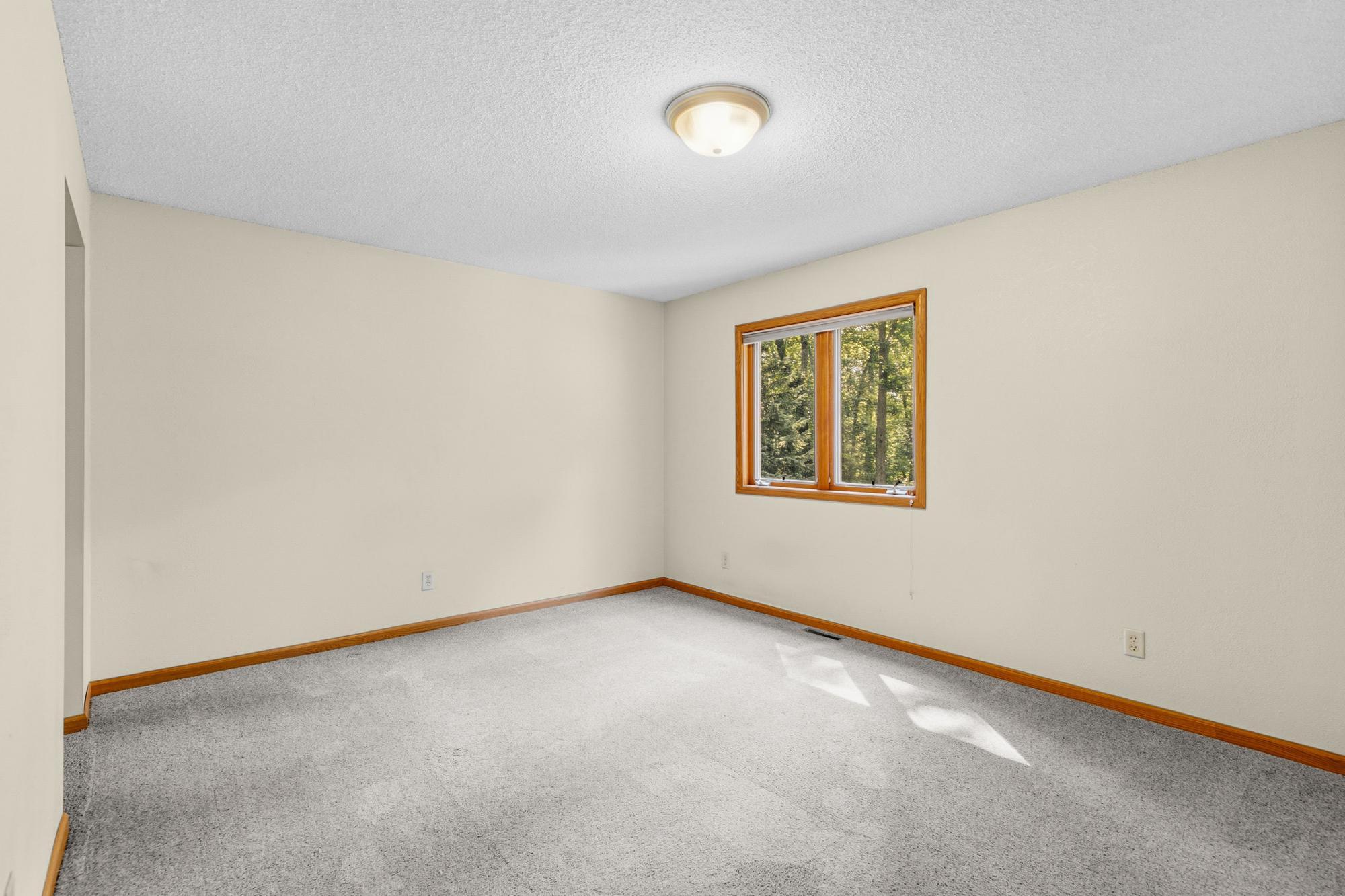 View of Residential at 2460 277th Street, Randolph MN 55065, Randolph (25 of 41) - Mike Wilen | Minnesota Team Real Estate