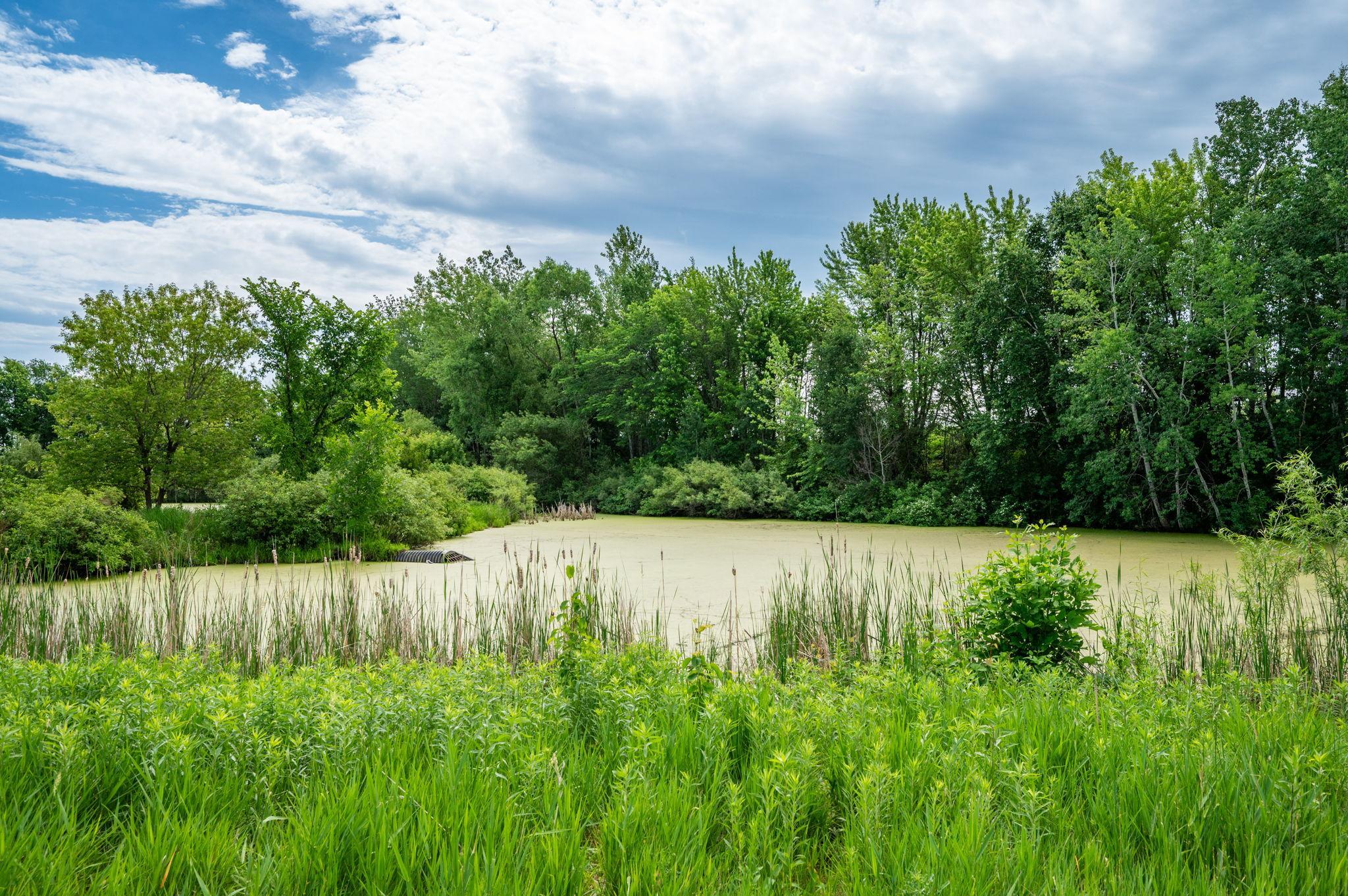 View of Residential at 6786 Yellowstone Lane, Maple Grove MN 55311, Maple Grove (39 of 51) - Mike Wilen | Minnesota Team Real Estate