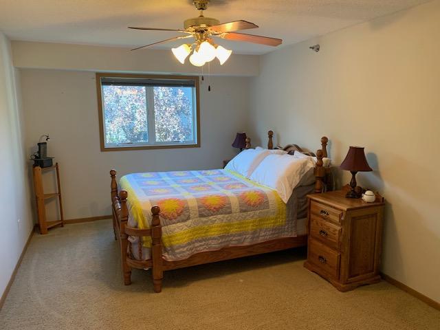 View of Residential at 880 Lyn Way #204, Hastings MN 55033, Hastings (15 of 23) - Mike Wilen | Minnesota Team Real Estate