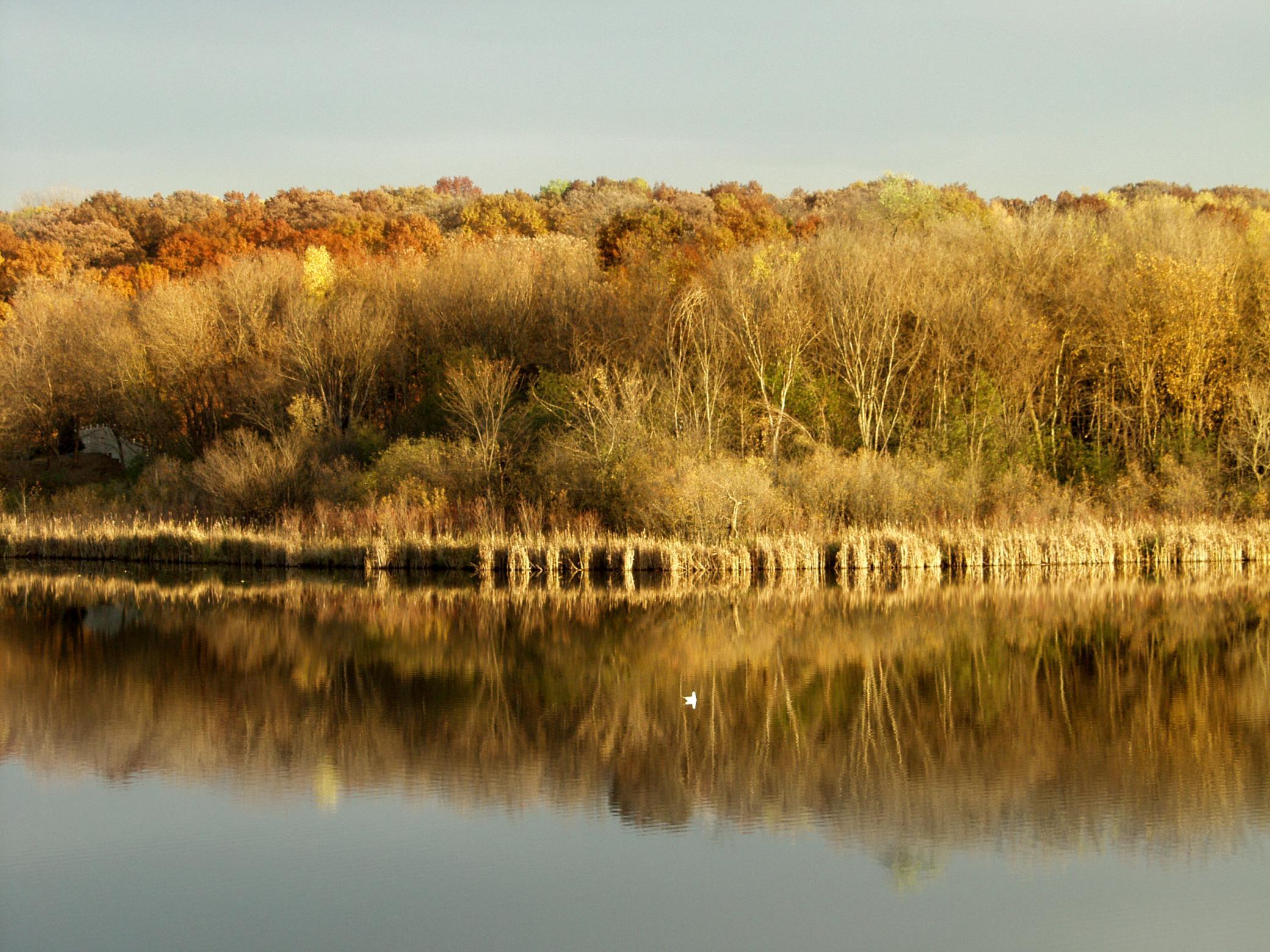 View of Residential at 4900 Killarney Drive, Golden Valley MN 55422, Golden Valley (51 of 61) - Mike Wilen | Minnesota Team Real Estate