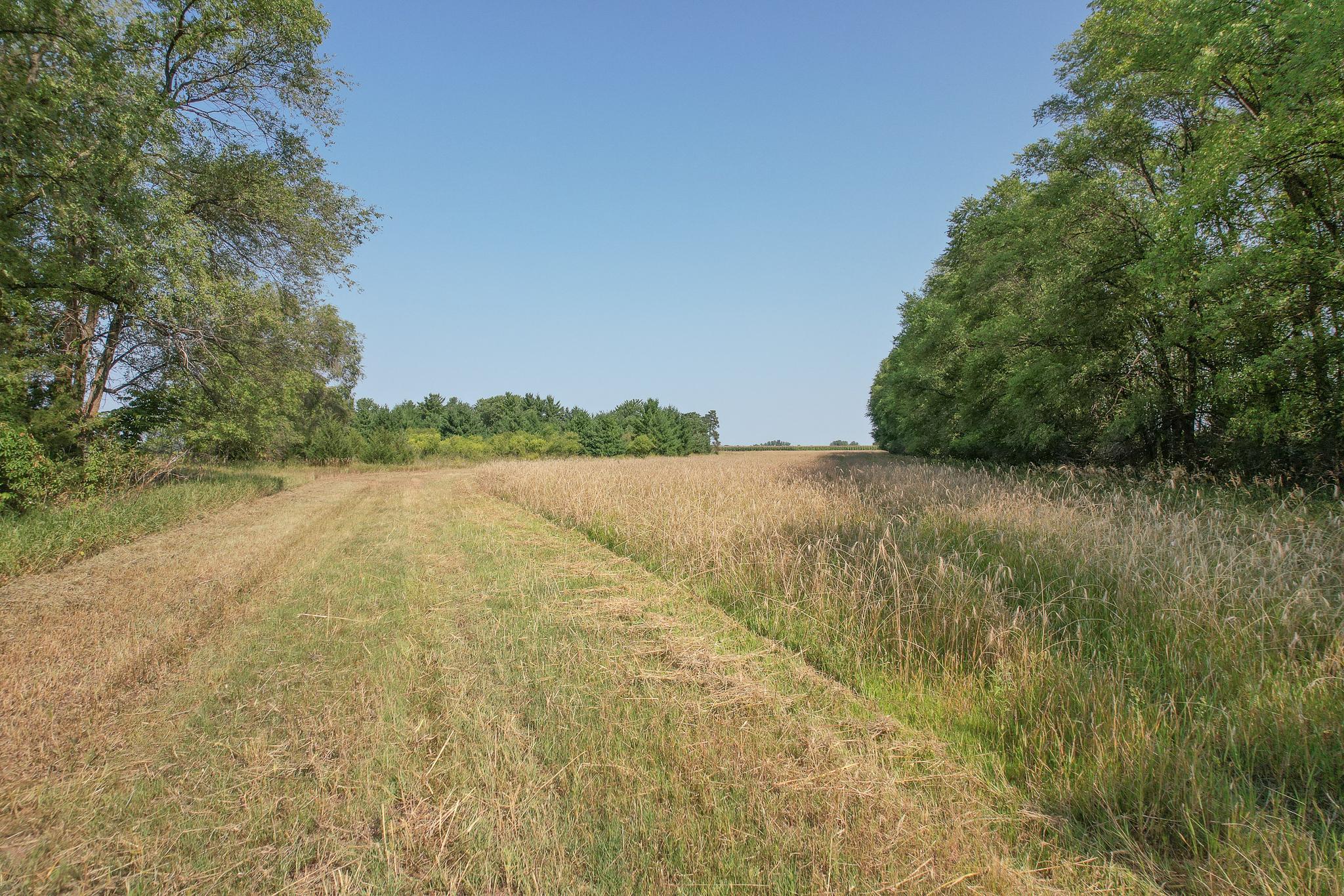 View of Land at 6170x River Rd SE, Clear Lake MN 55319, Clear Lake (2 of 12) - Mike Wilen | Minnesota Team Real Estate