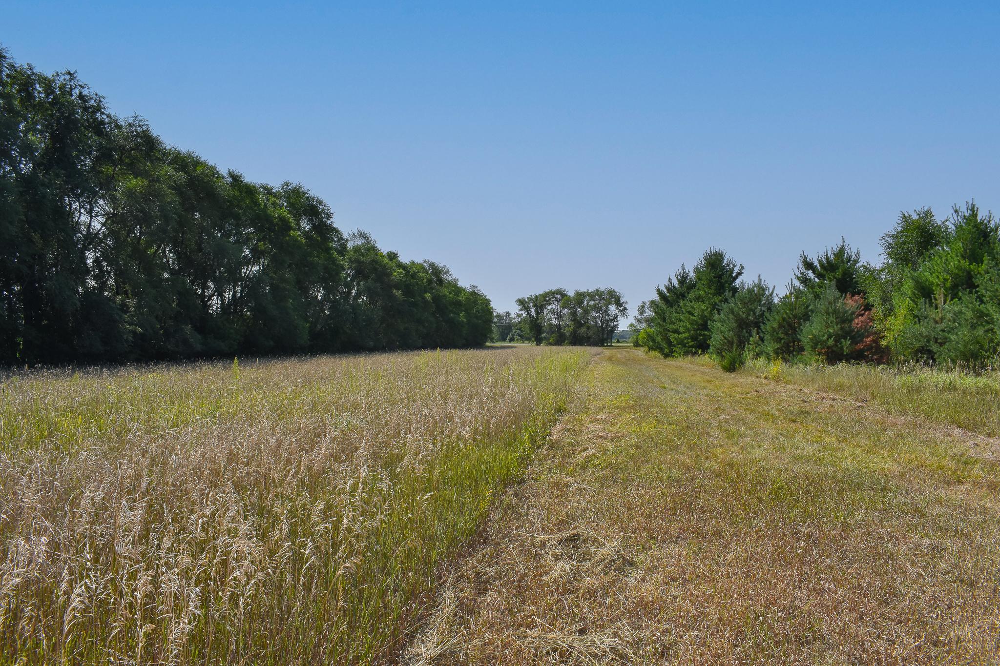 View of Land at 6170x River Rd SE, Clear Lake MN 55319, Clear Lake (5 of 12) - Mike Wilen | Minnesota Team Real Estate