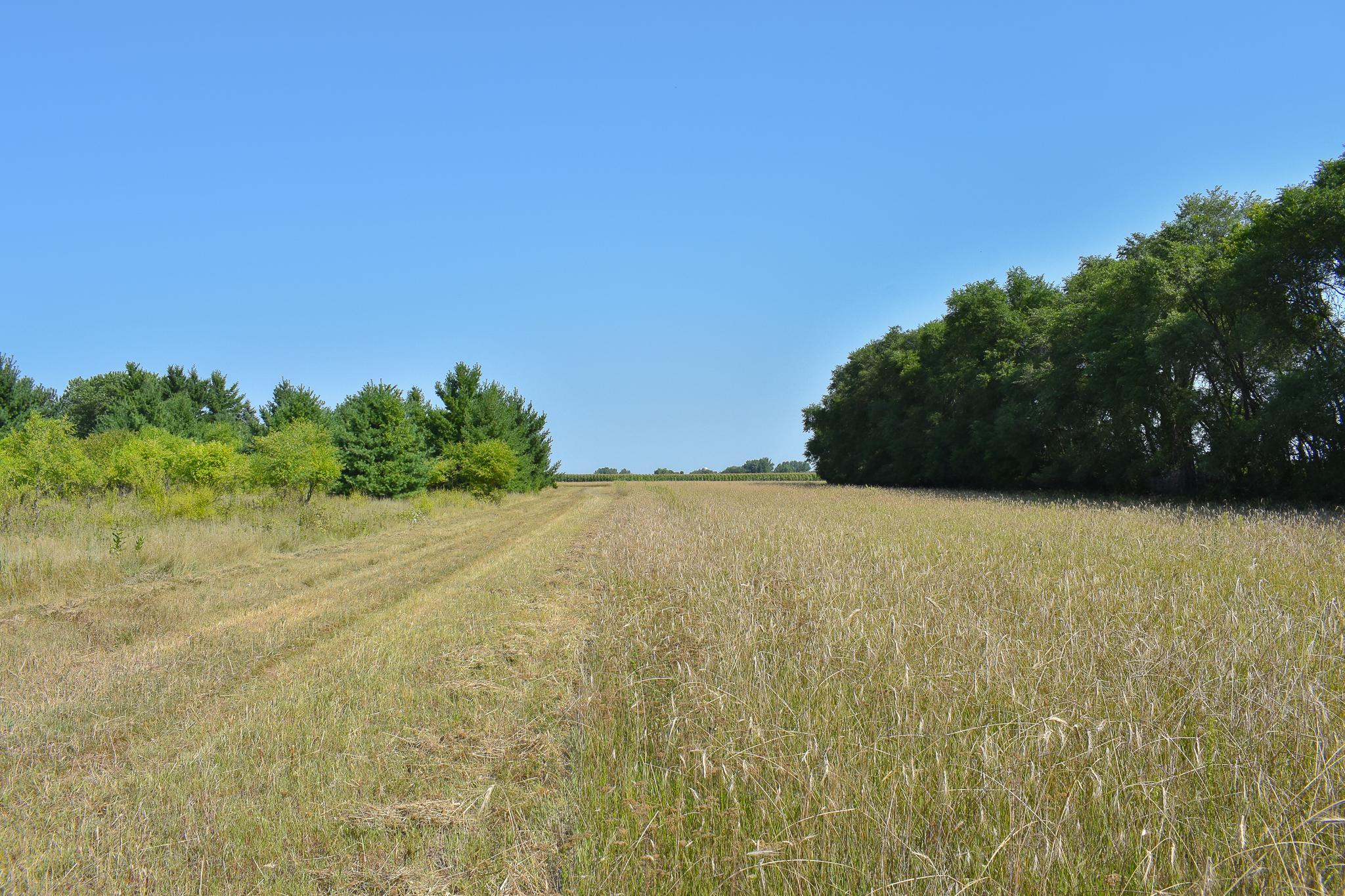 View of Land at 6170x River Rd SE, Clear Lake MN 55319, Clear Lake (4 of 12) - Mike Wilen | Minnesota Team Real Estate