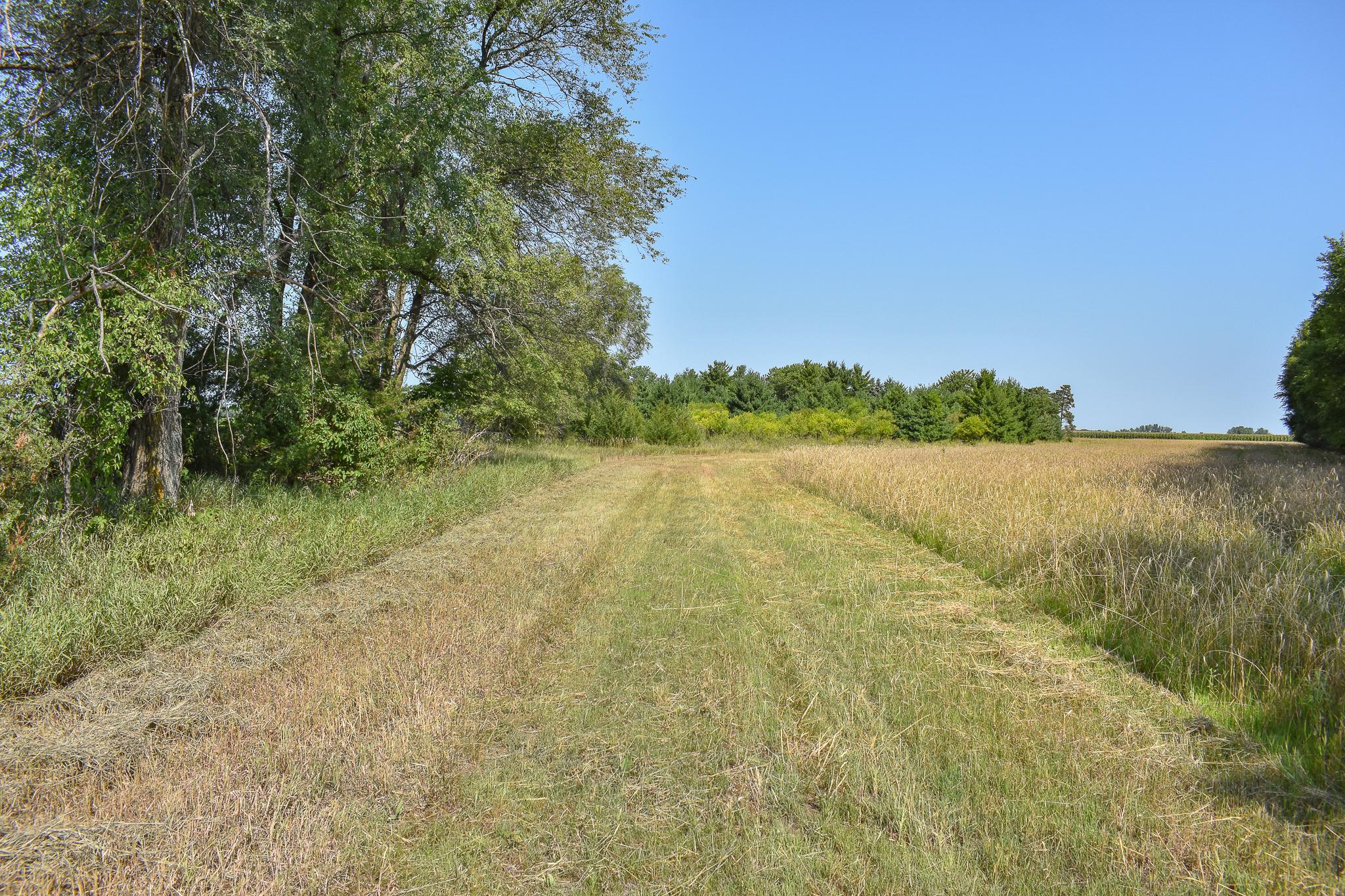 View of Land at 6170x River Rd SE, Clear Lake MN 55319, Clear Lake (3 of 12) - Mike Wilen | Minnesota Team Real Estate