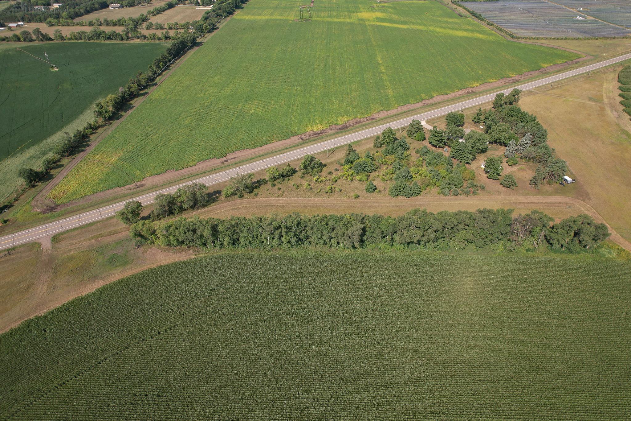 View of Land at 6170x River Rd SE, Clear Lake MN 55319, Clear Lake (12 of 12) - Mike Wilen | Minnesota Team Real Estate