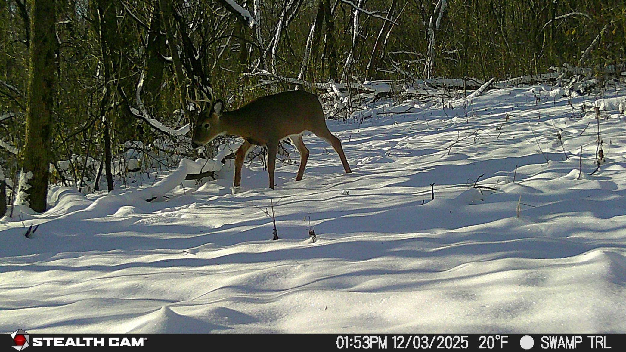 View of Land at TBD Hidden Lane, Greenfield MN 55357, Greenfield (20 of 20) - Mike Wilen | Minnesota Team Real Estate
