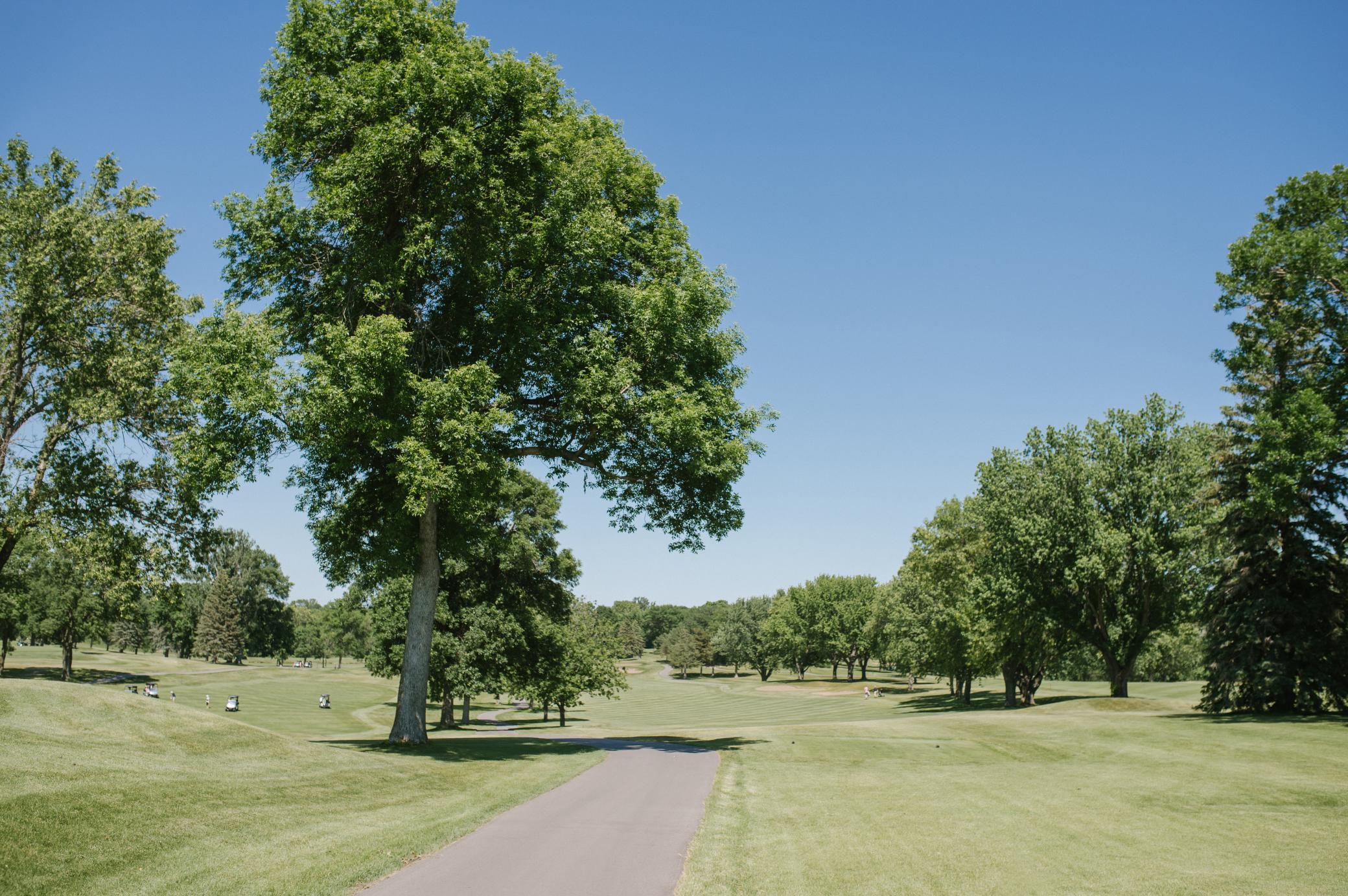 View of Residential at 221 Huntington Drive, Waconia MN 55387, Waconia (30 of 32) - Mike Wilen | Minnesota Team Real Estate