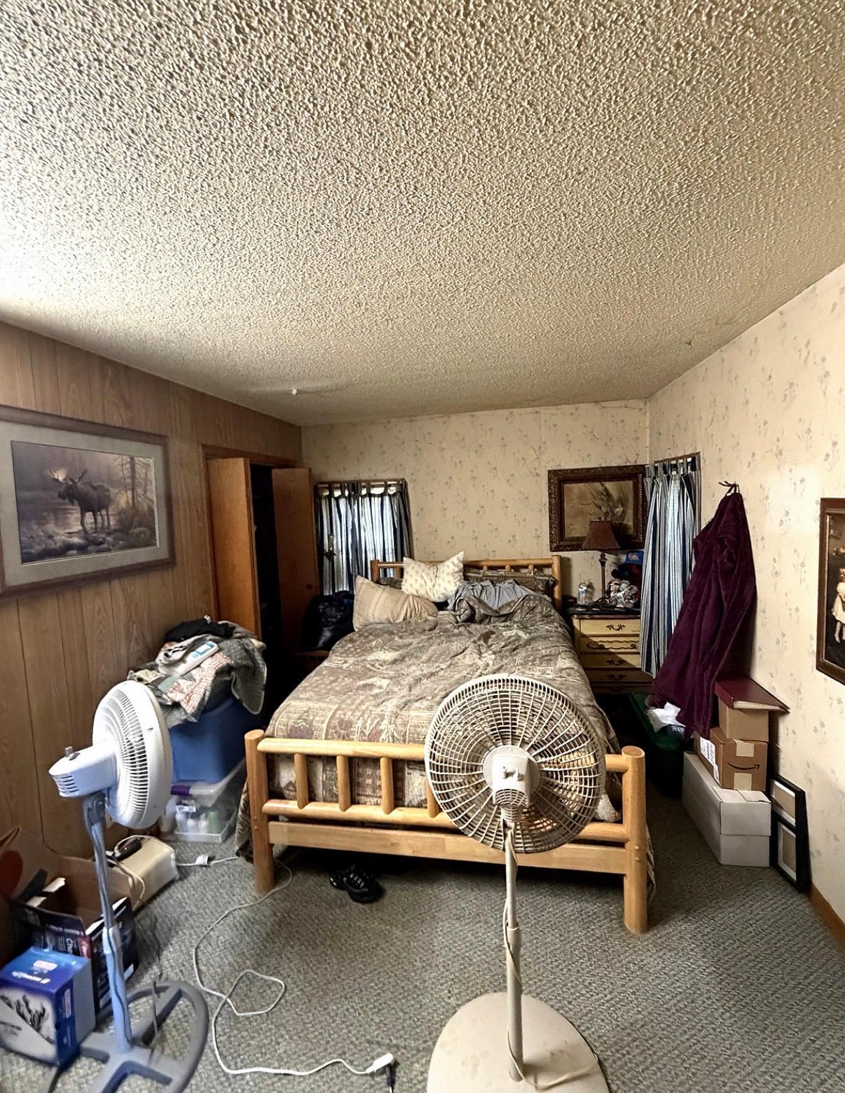 View of Residential at 215 Buchannon Street, Waterville MN 56096, Waterville (3 of 7) - Mike Wilen | Minnesota Team Real Estate