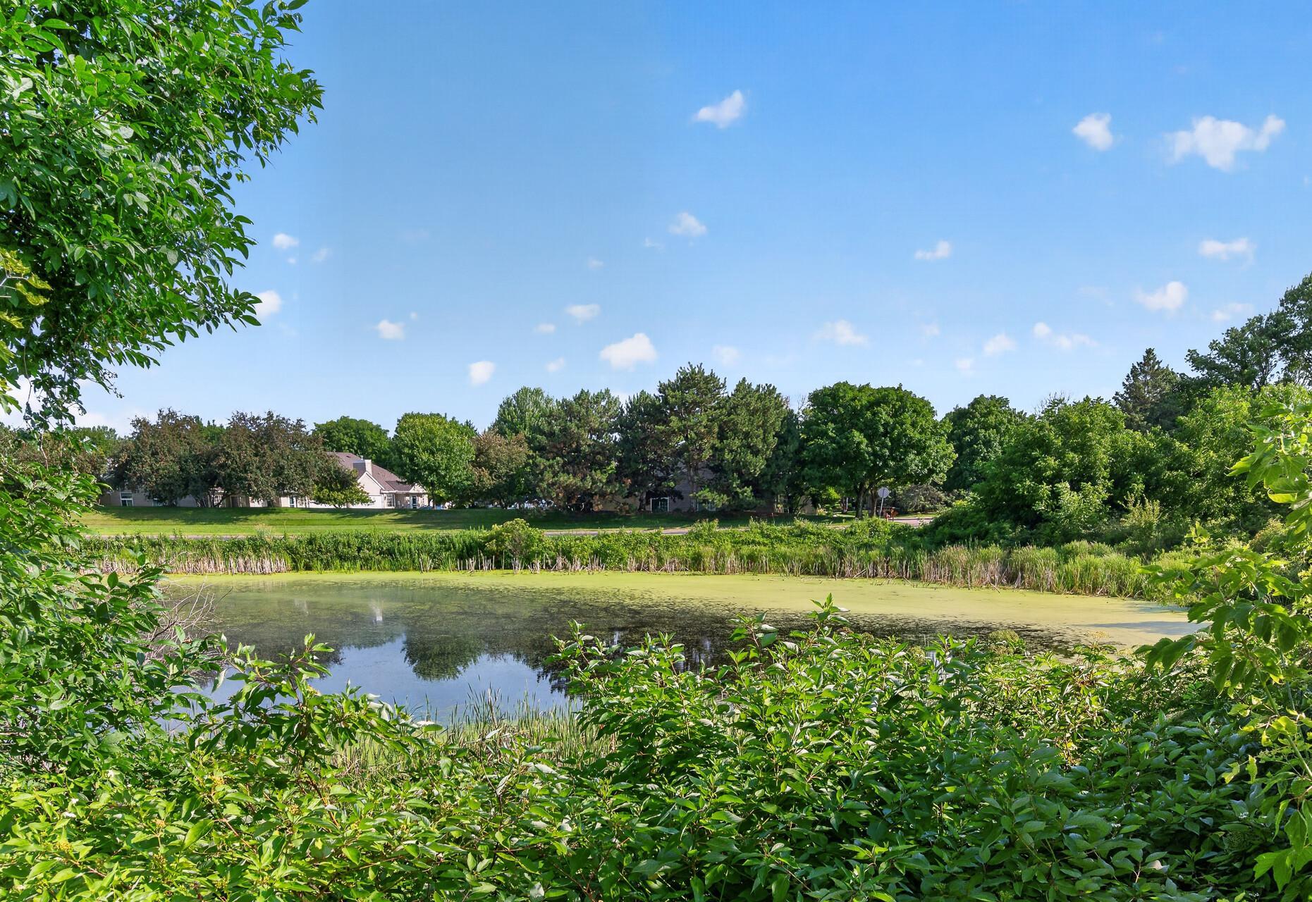 View of Residential at 493 Marshland Trail, Chanhassen MN 55317, Chanhassen (31 of 46) - Mike Wilen | Minnesota Team Real Estate