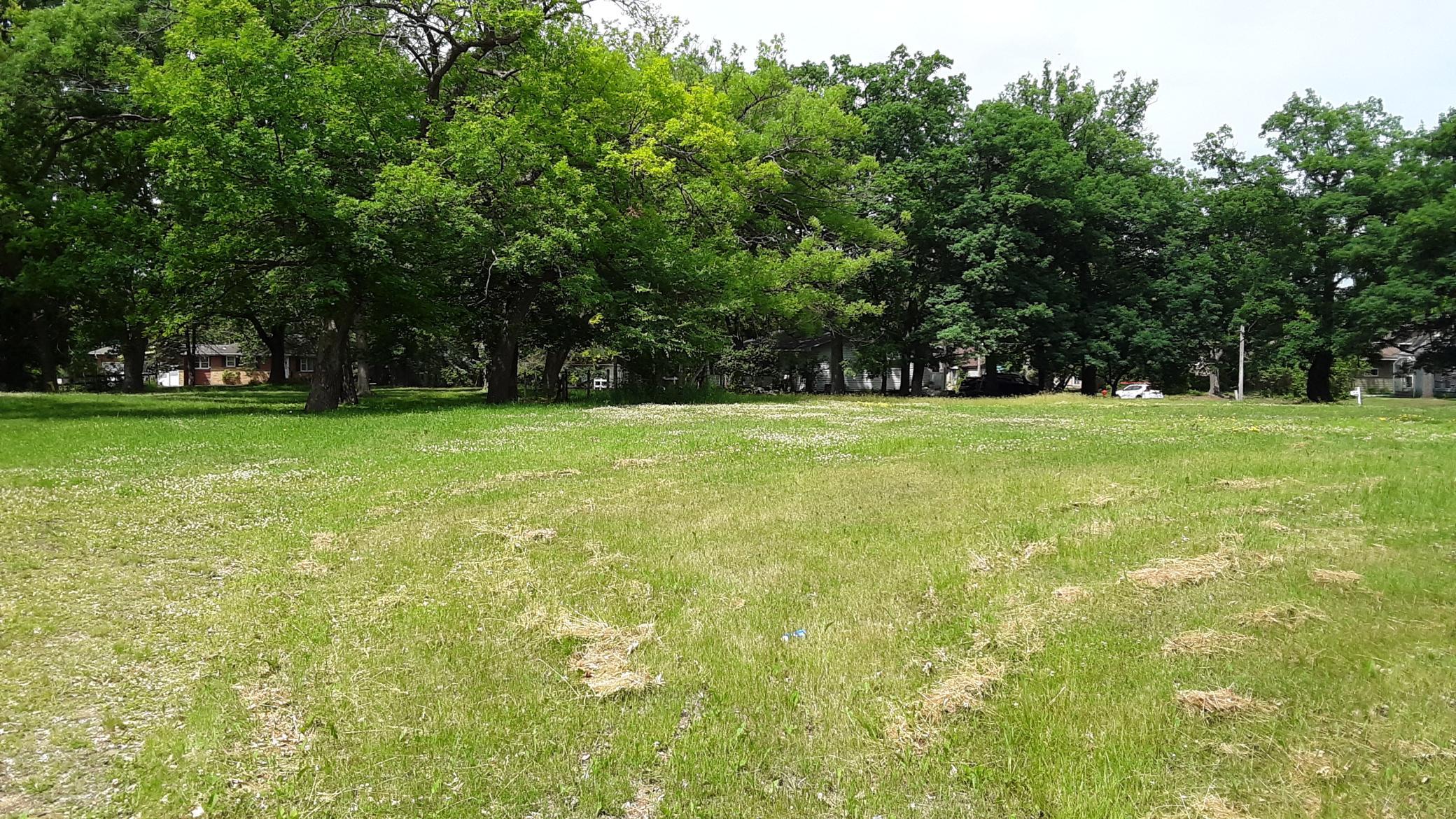 View of Land at 33x 4th Avenue, Forest Lake MN 55025, Forest Lake (7 of 9) - Mike Wilen | Minnesota Team Real Estate