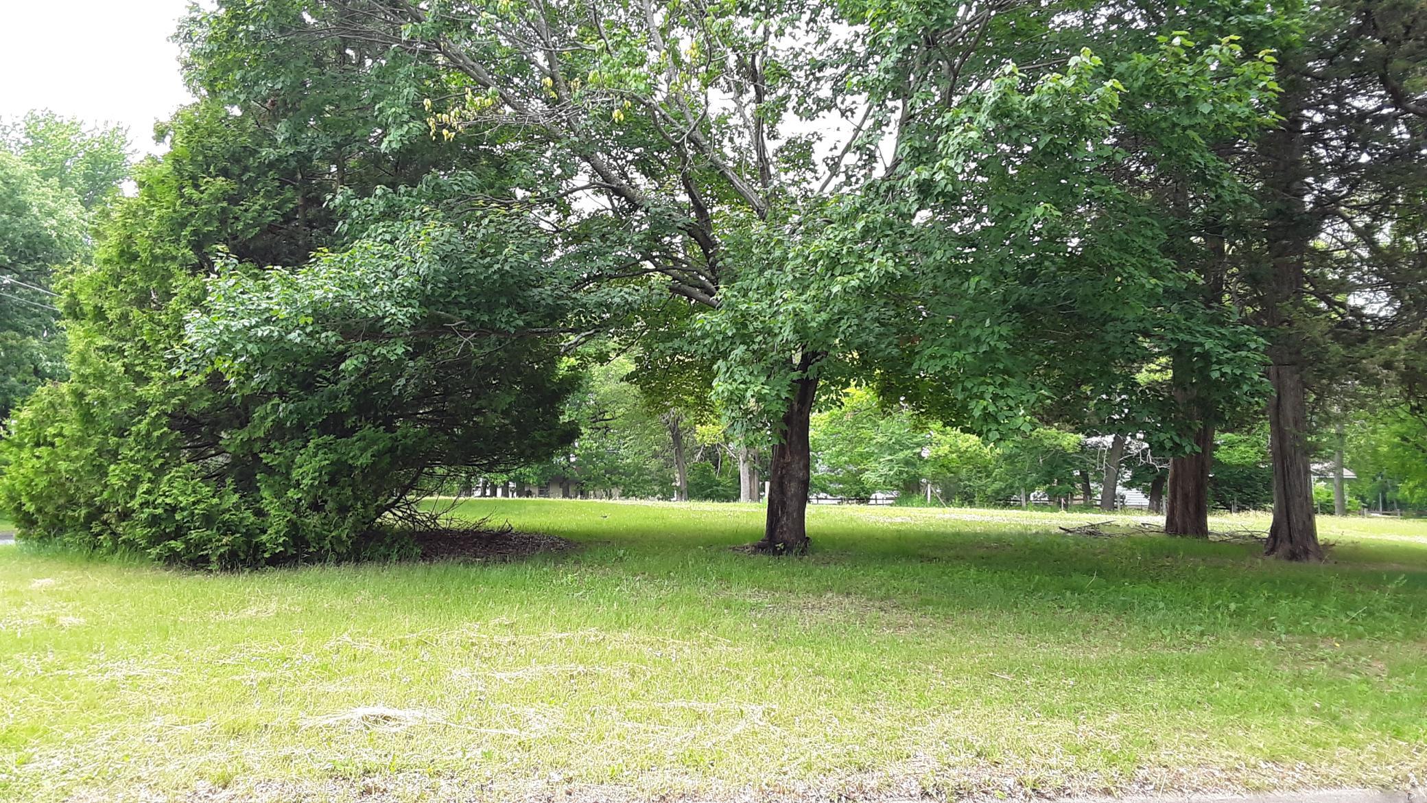 View of Land at 34x 3rd Avenue, Forest Lake MN 55025, Forest Lake (4 of 9) - Mike Wilen | Minnesota Team Real Estate