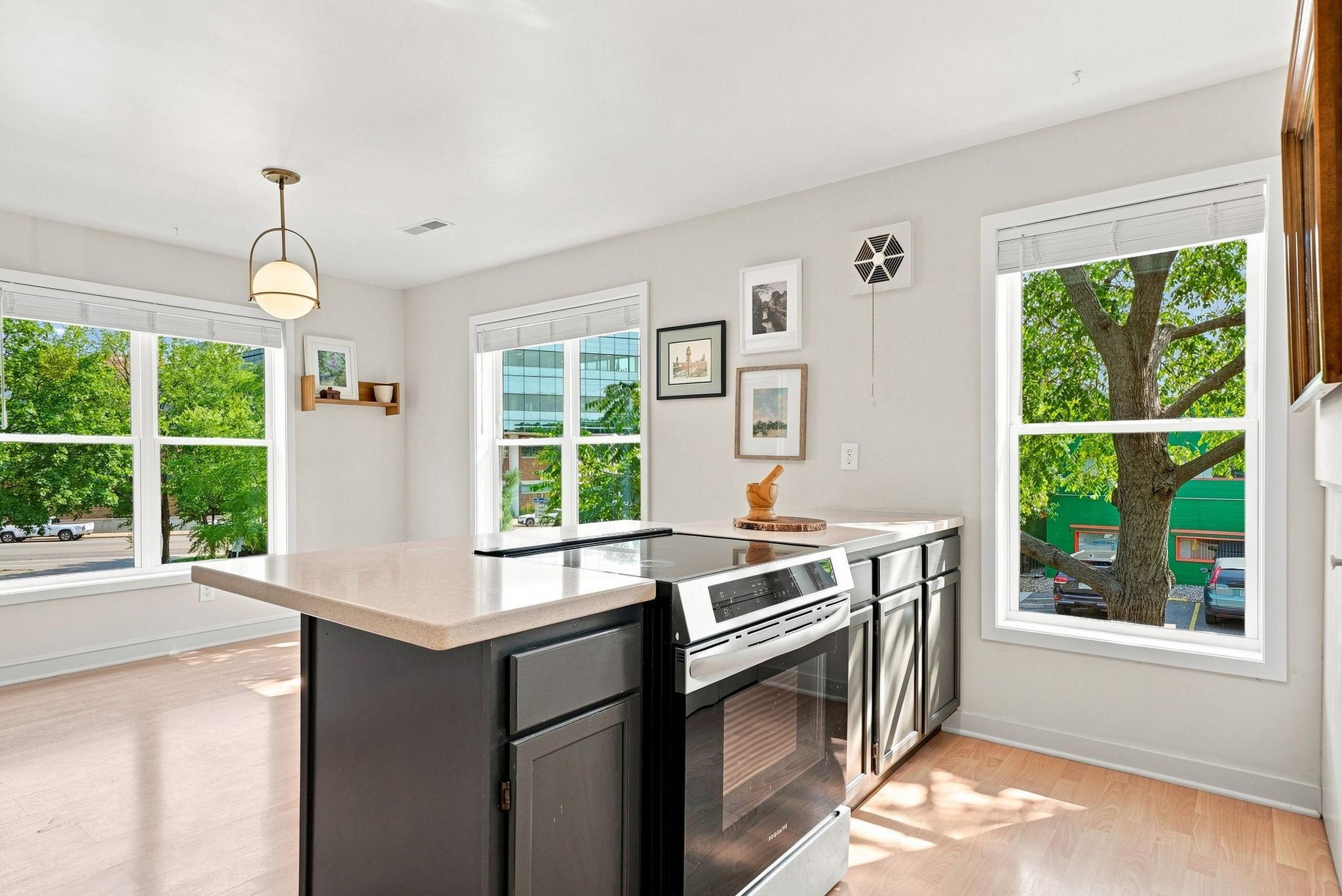 View of Residential at 1911 5th Street, Minneapolis MN 55454, Minneapolis (13 of 37) - Mike Wilen | Minnesota Team Real Estate