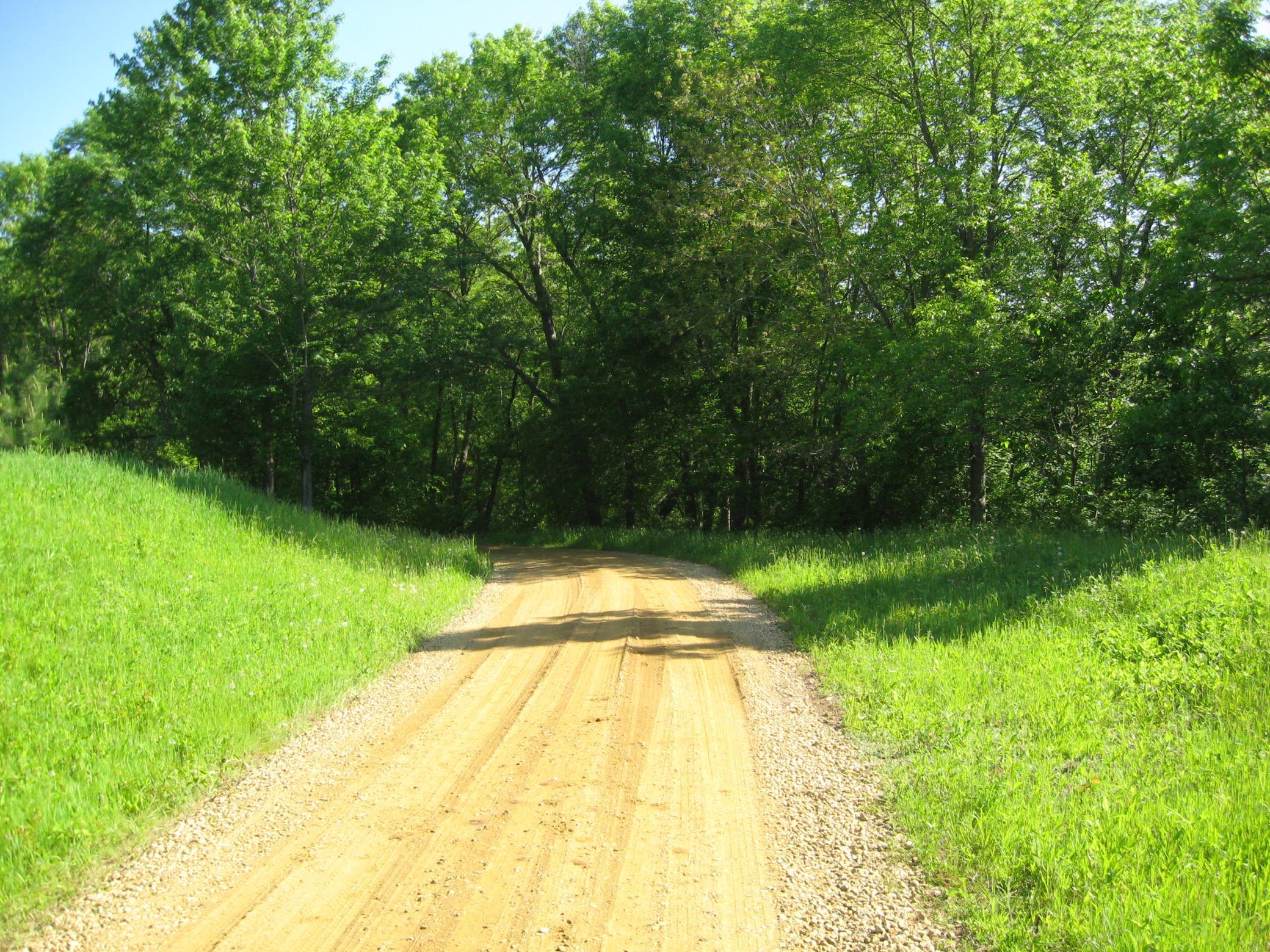 View of Land at 15XXX Pilar Road, Scandia MN 55073, Scandia (8 of 13) - Mike Wilen | Minnesota Team Real Estate